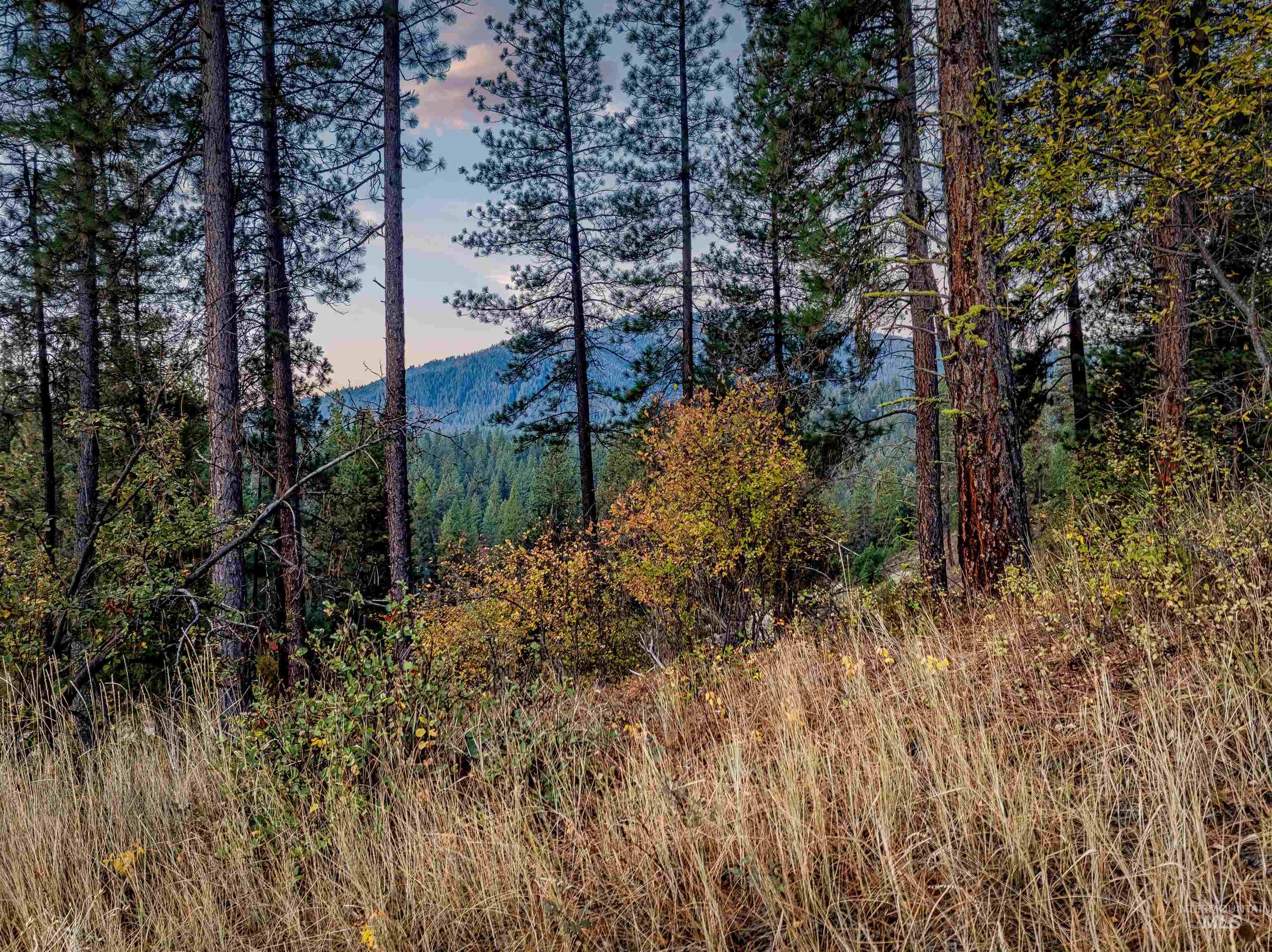 15 Killdeer Court, Garden Valley, Idaho 83622, Land For Sale, Price $279,000,MLS 98974213