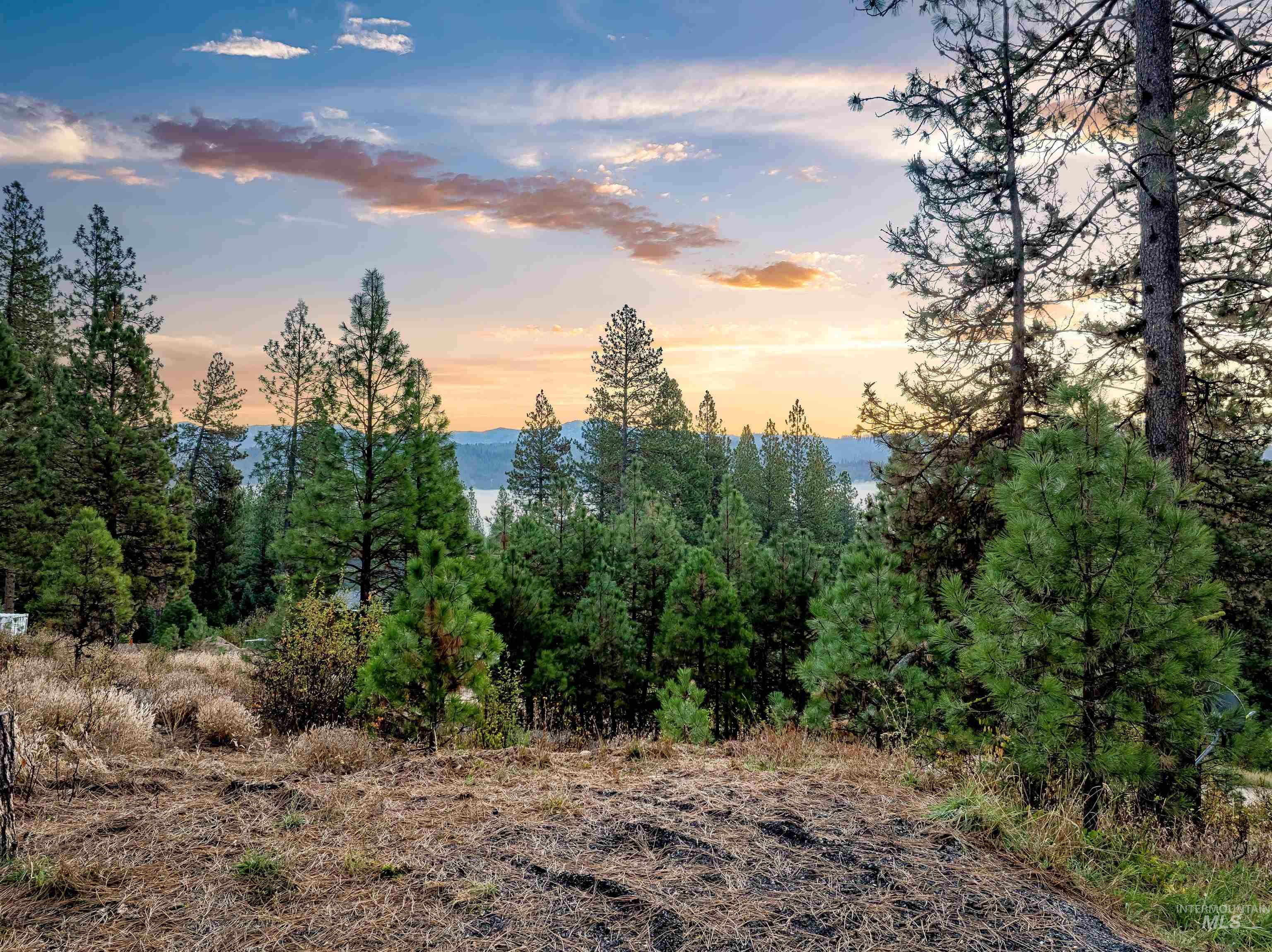 15 Killdeer Court, Garden Valley, Idaho 83622, Land For Sale, Price $279,000,MLS 98974213