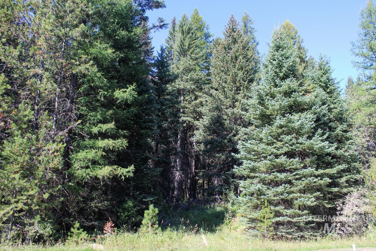 Tax #3 West Mountain Road, Donnelly, Idaho 83615, Land For Sale, Price $499,000,MLS 98974220