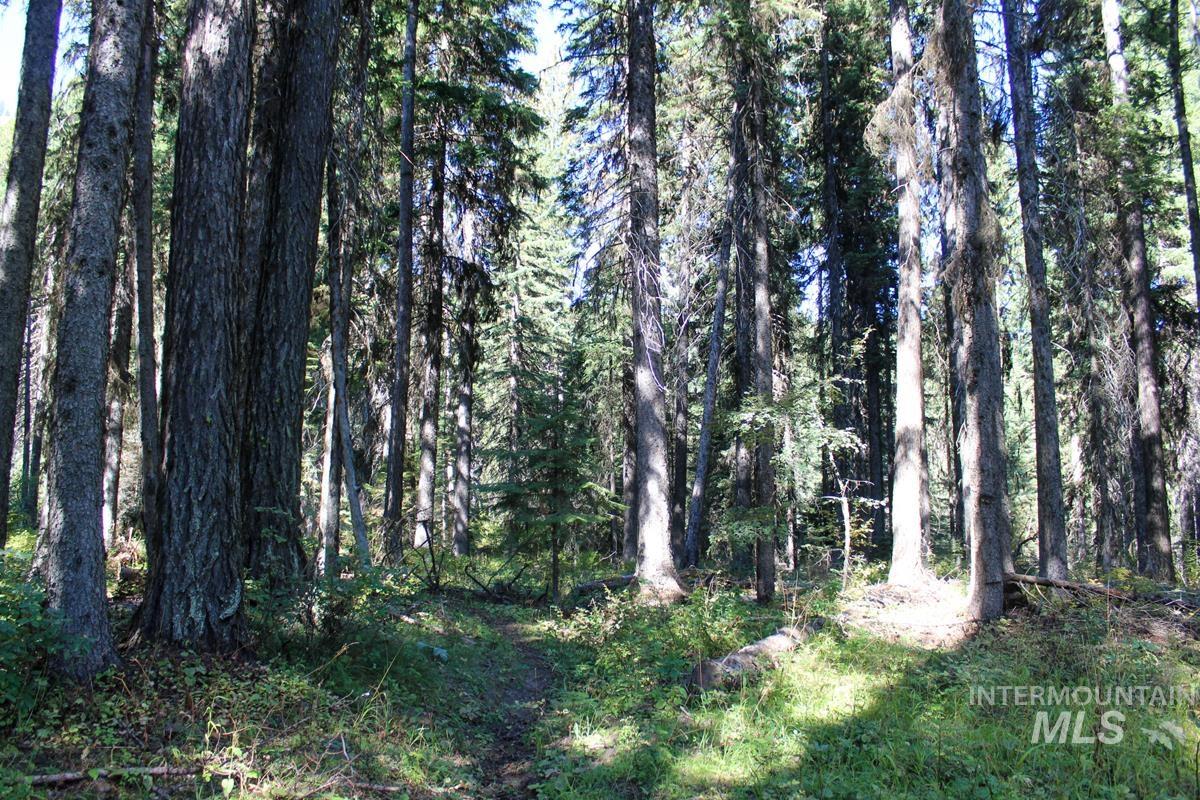 Tax #3 West Mountain Road, Donnelly, Idaho 83615, Land For Sale, Price $499,000,MLS 98974220