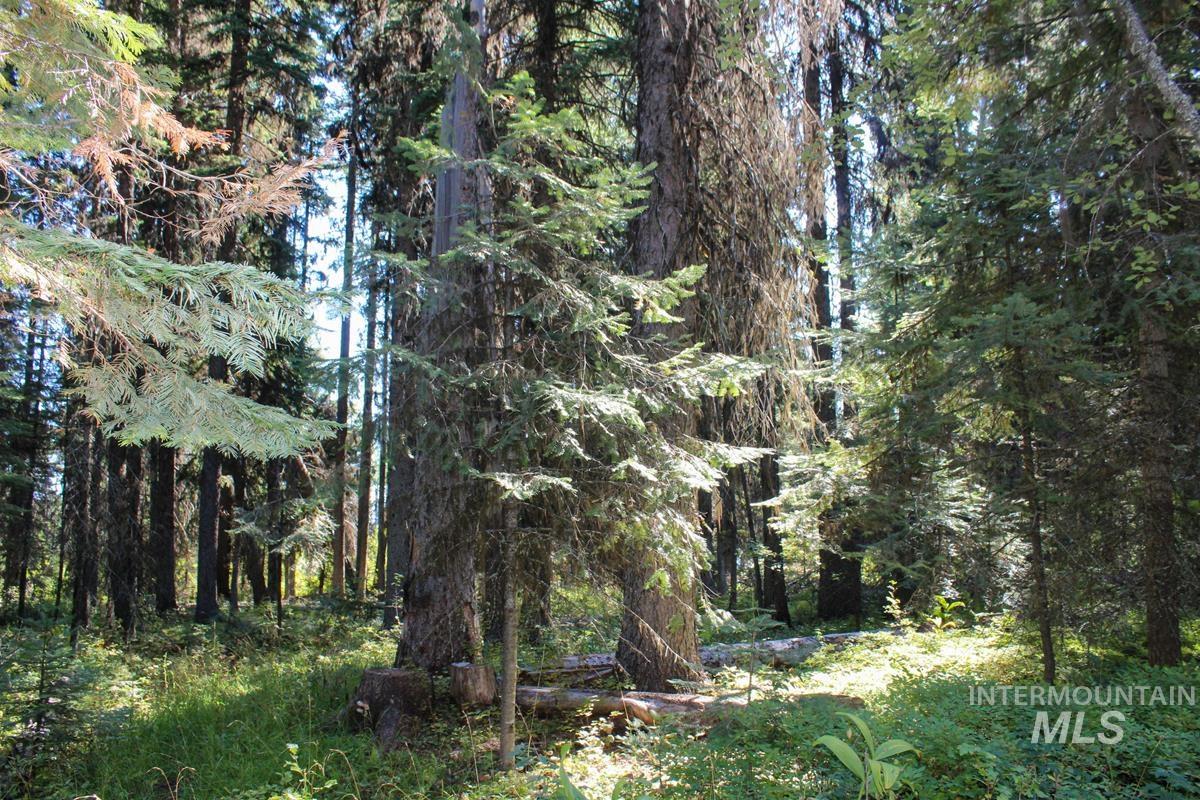 Tax #3 West Mountain Road, Donnelly, Idaho 83615, Land For Sale, Price $499,000,MLS 98974220