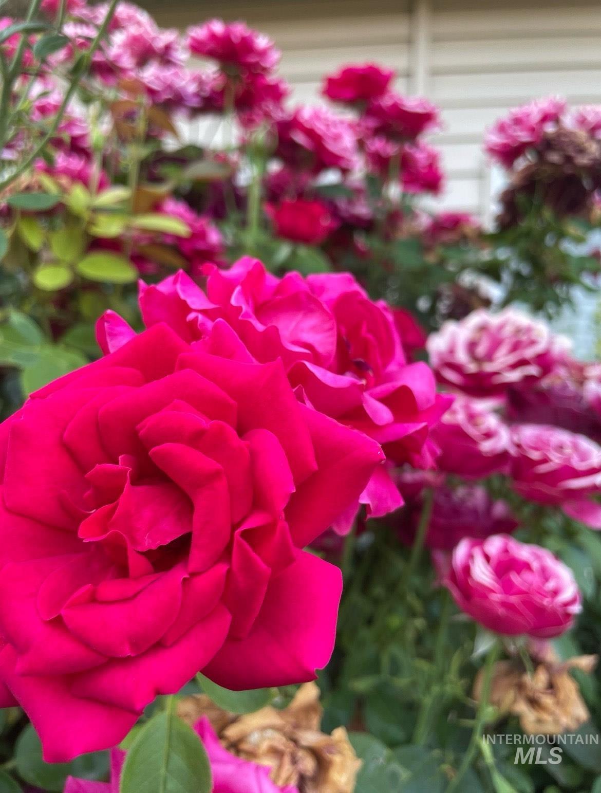 11757 W Mount Hood Ave, Nampa, Idaho 83651, 4 Bedrooms, 3 Bathrooms, Residential For Sale, Price $415,000,MLS 98974245