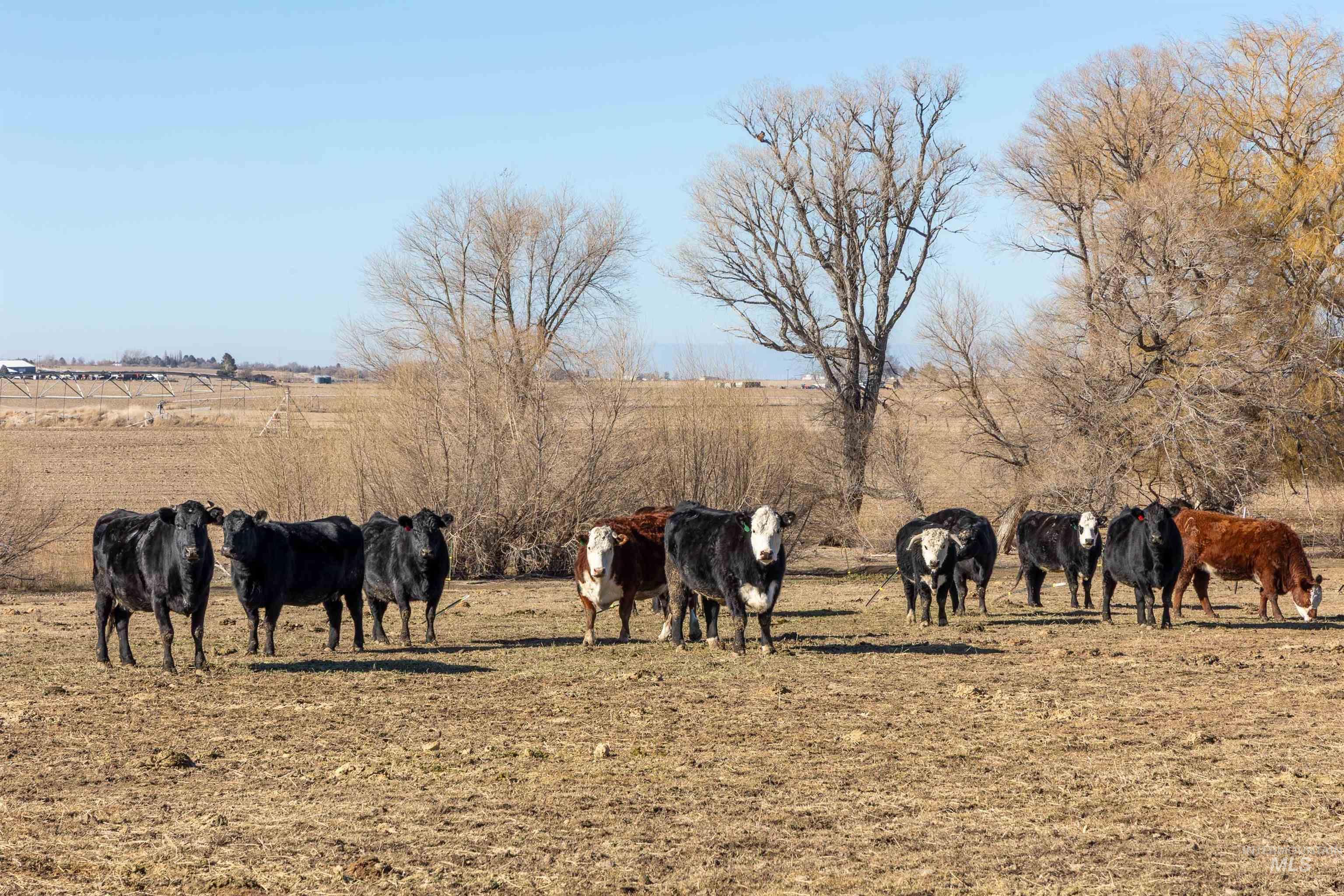 1898 E 3700 n, Filer, Idaho 83328, 2 Bedrooms, 1 Bathroom, Residential For Sale, Price $560,000,MLS 98974285