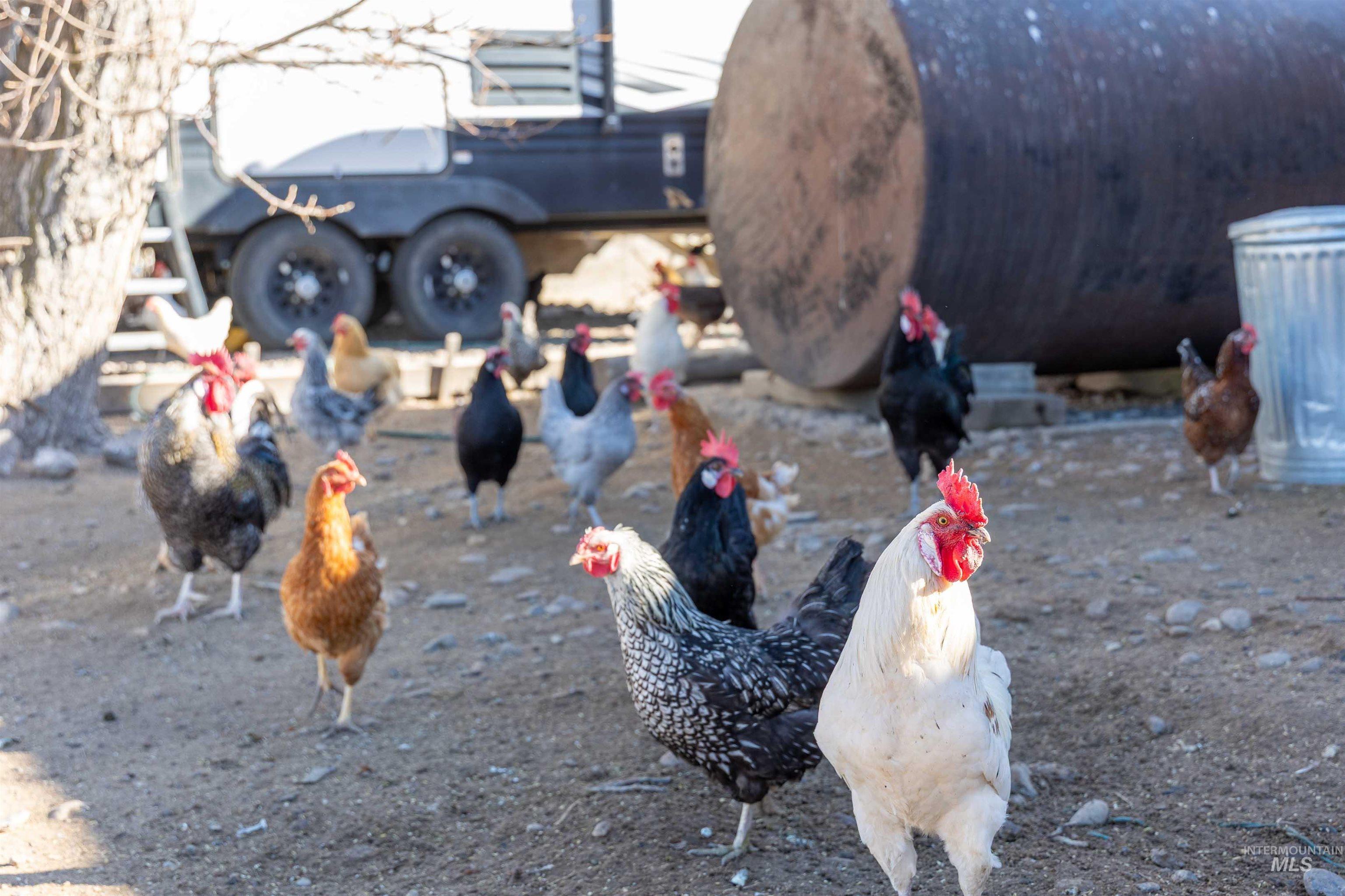 1898 E 3700 N, Filer, Idaho 83328, 2 Bedrooms, 1 Bathroom, Farm & Ranch For Sale, Price $560,000,MLS 98974288