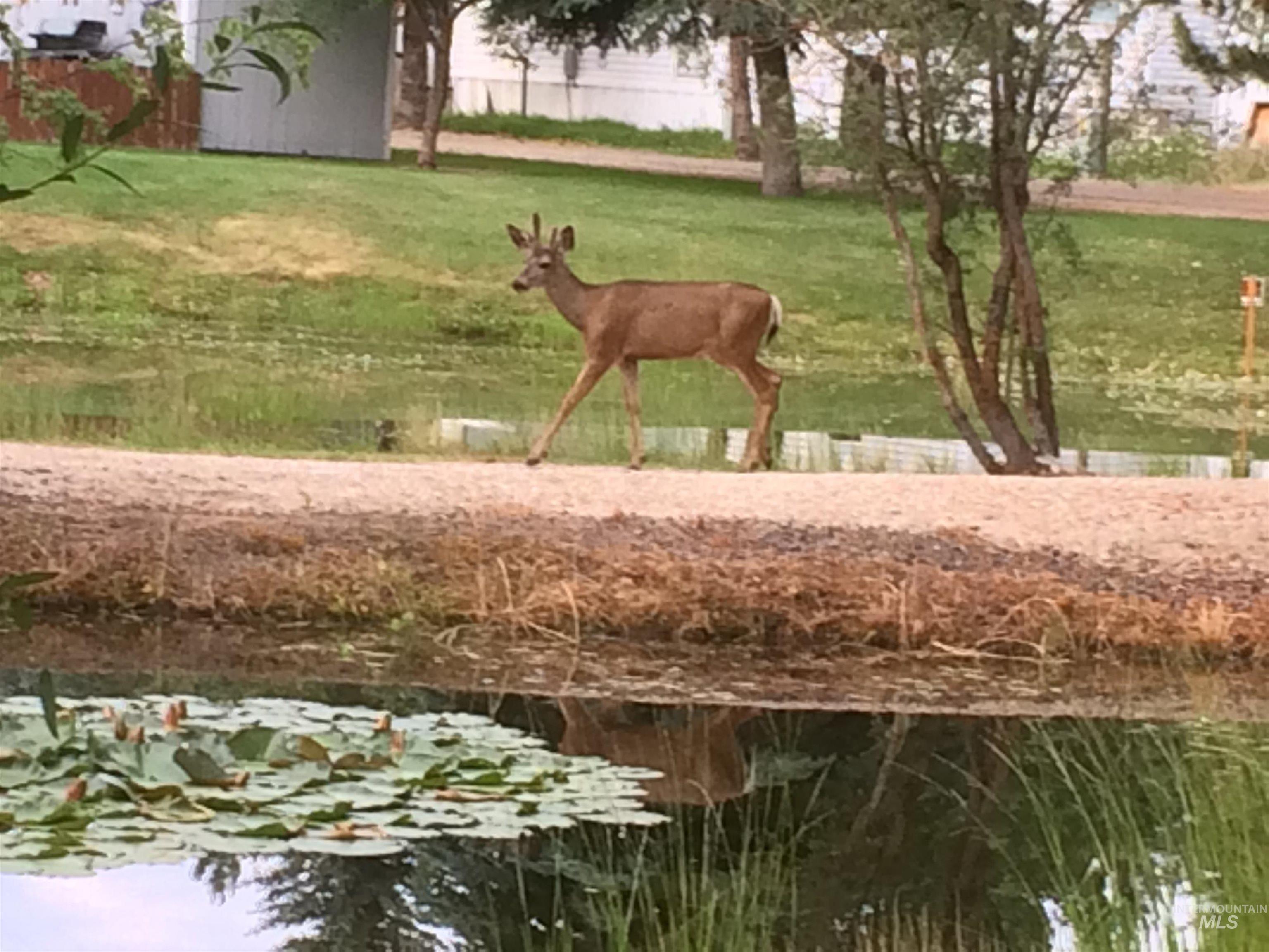 514 E13/14 Sawyer St., Cascade, Idaho 83611, 1 Bedroom, 1 Bathroom, Residential For Sale, Price $329,000,MLS 98974315