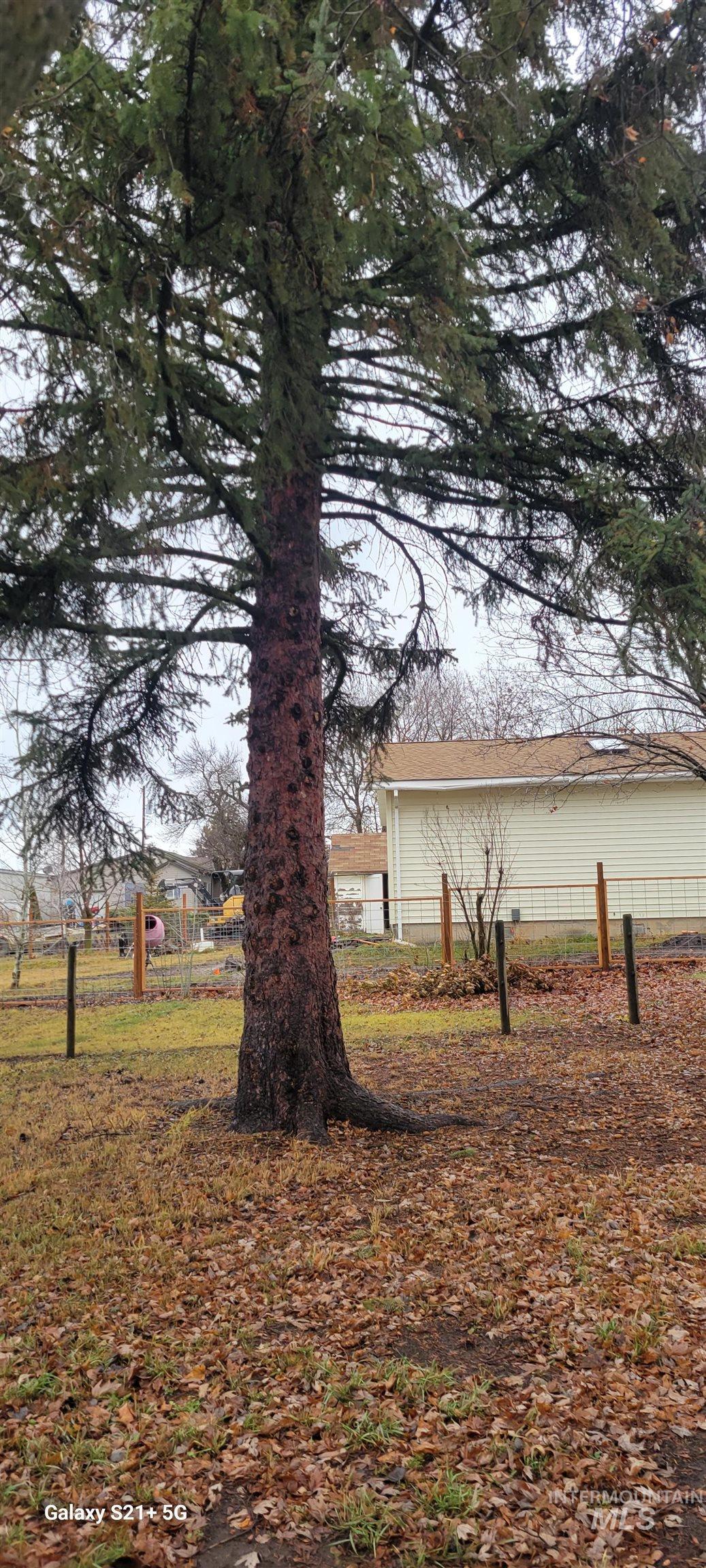 212 N 4th, Craigmont, Idaho 83523, 3 Bedrooms, 1 Bathroom, Residential For Sale, Price $255,000,MLS 98974329