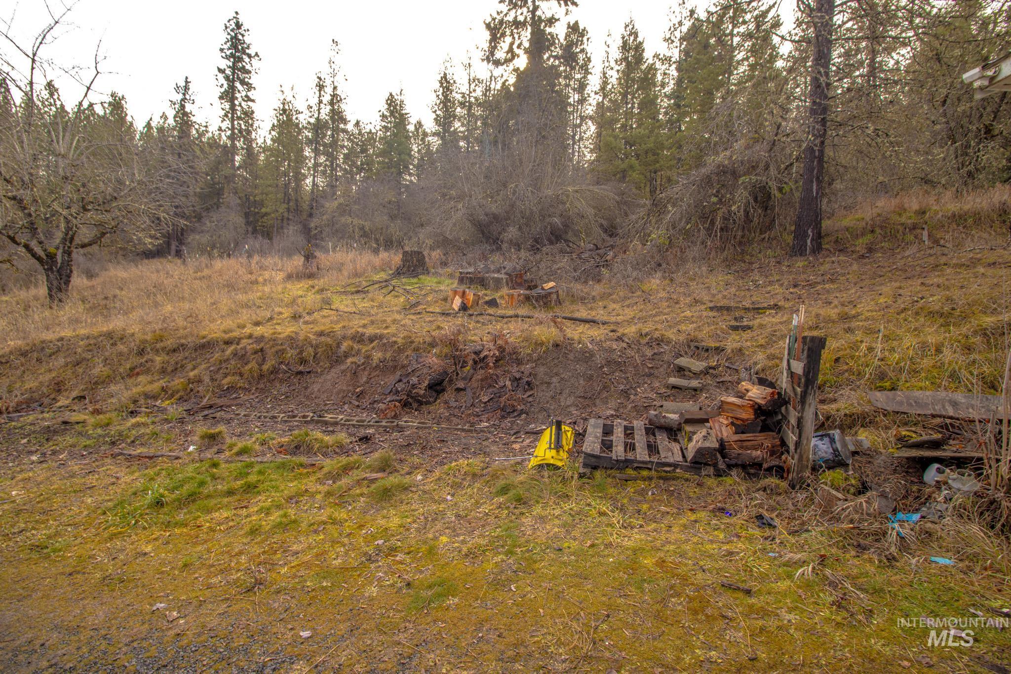 12644 Jerome Ave, Orofino, Idaho 83544, 2 Bedrooms, 1 Bathroom, Residential For Sale, Price $230,000,MLS 98974339