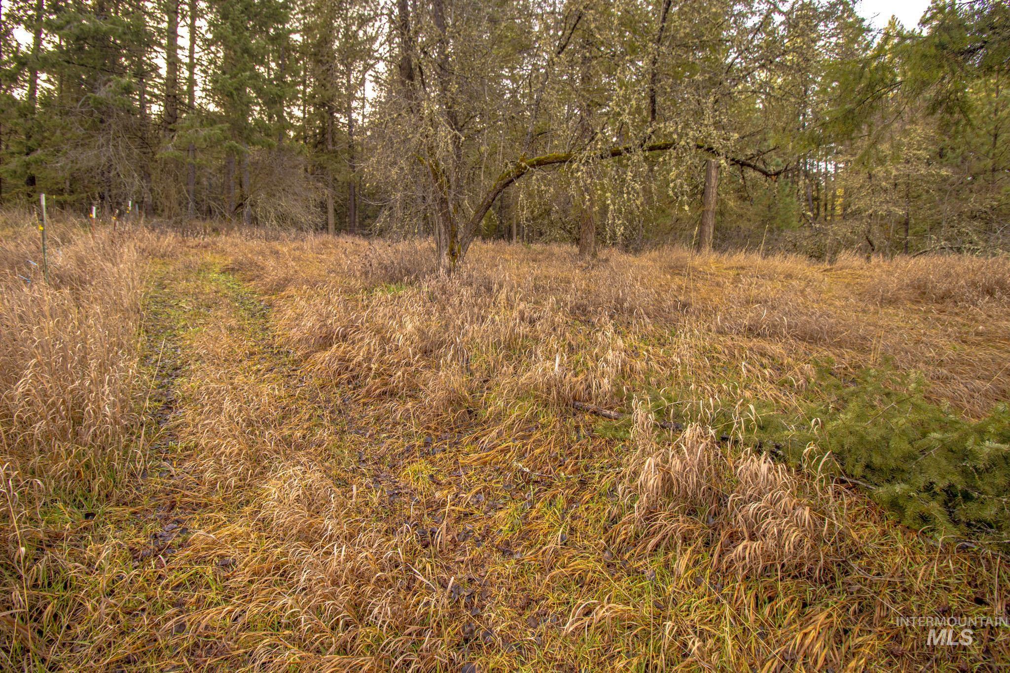 12644 Jerome Ave, Orofino, Idaho 83544, 2 Bedrooms, 1 Bathroom, Residential For Sale, Price $230,000,MLS 98974339