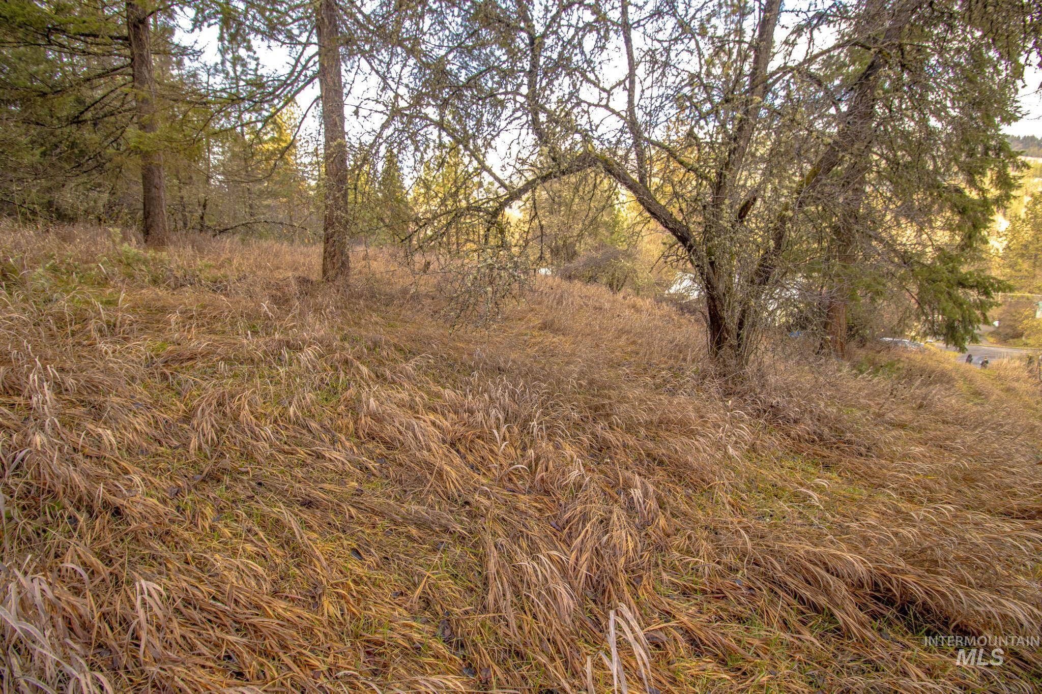 12644 Jerome Ave, Orofino, Idaho 83544, 2 Bedrooms, 1 Bathroom, Residential For Sale, Price $230,000,MLS 98974339