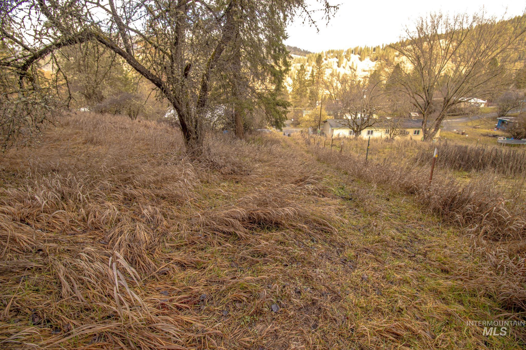 12644 Jerome Ave, Orofino, Idaho 83544, 2 Bedrooms, 1 Bathroom, Residential For Sale, Price $230,000,MLS 98974339