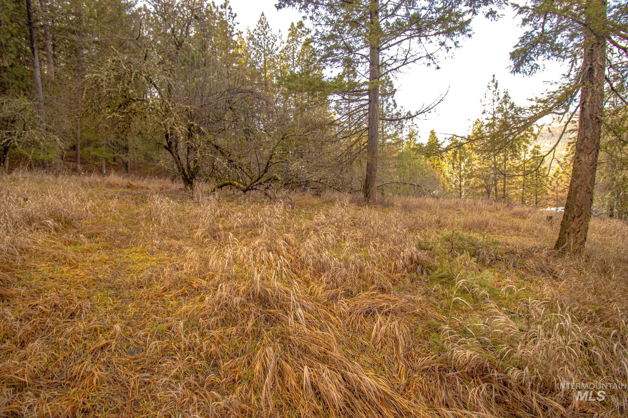 12644 Jerome Ave, Orofino, Idaho 83544, 2 Bedrooms, 1 Bathroom, Residential For Sale, Price $230,000,MLS 98974339