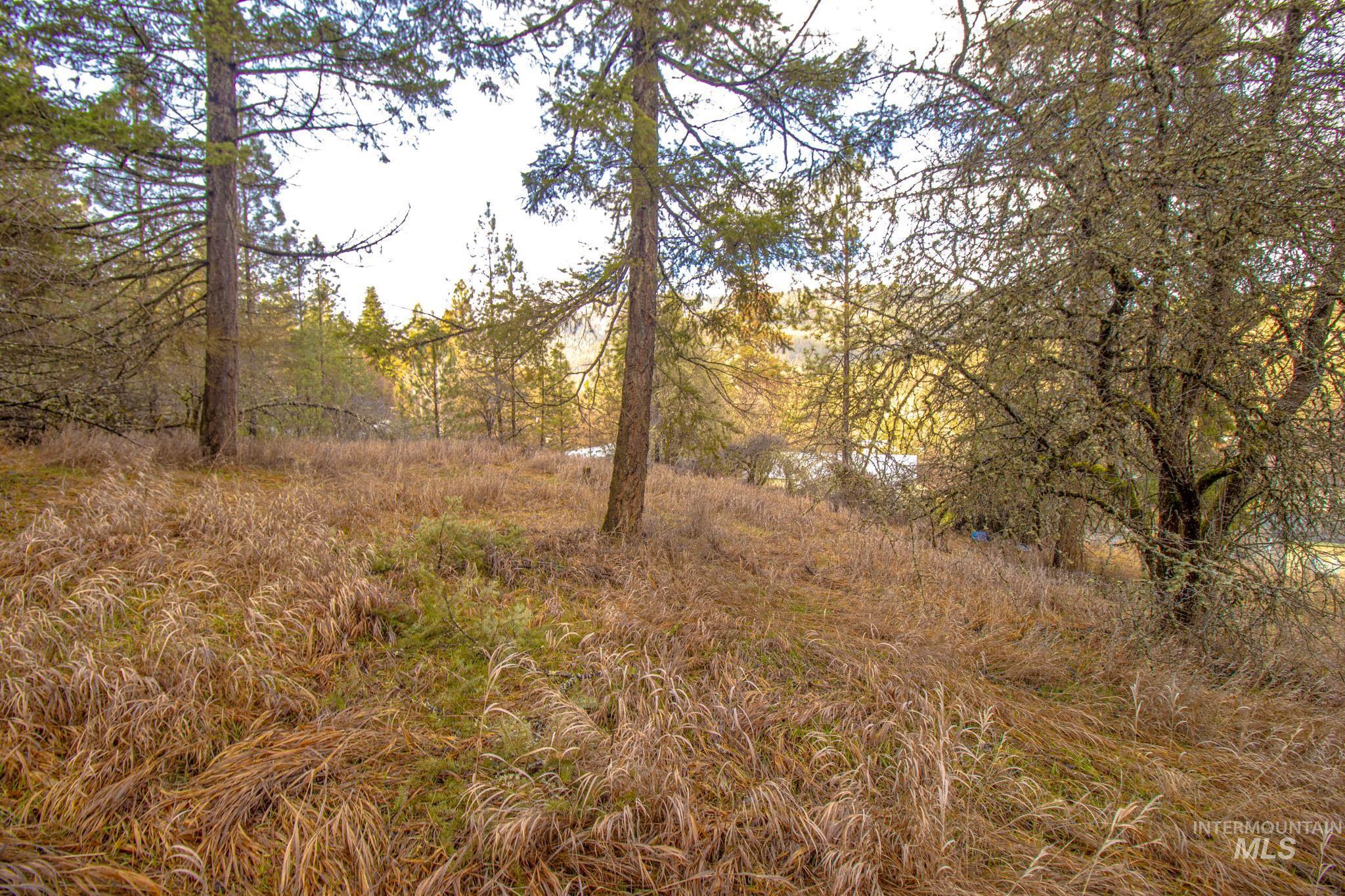 12644 Jerome Ave, Orofino, Idaho 83544, 2 Bedrooms, 1 Bathroom, Residential For Sale, Price $230,000,MLS 98974339