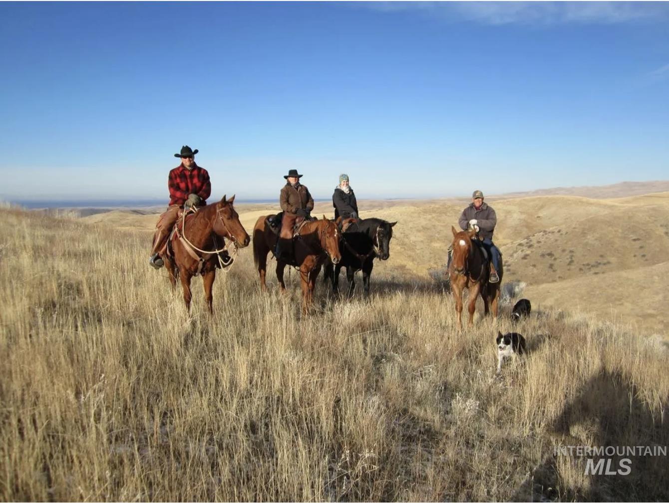 20203 N Swire Green Way, Boise, Idaho 83714, Land For Sale, Price $279,000,MLS 98974358