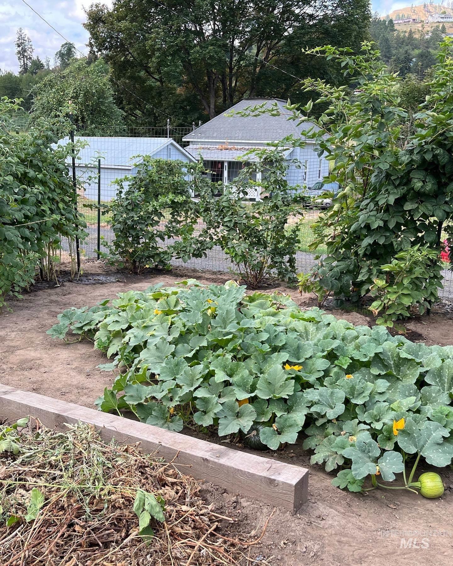 804 Maple St, Kamiah, Idaho 83536, 3 Bedrooms, 2 Bathrooms, Residential For Sale, Price $339,000, 98974381