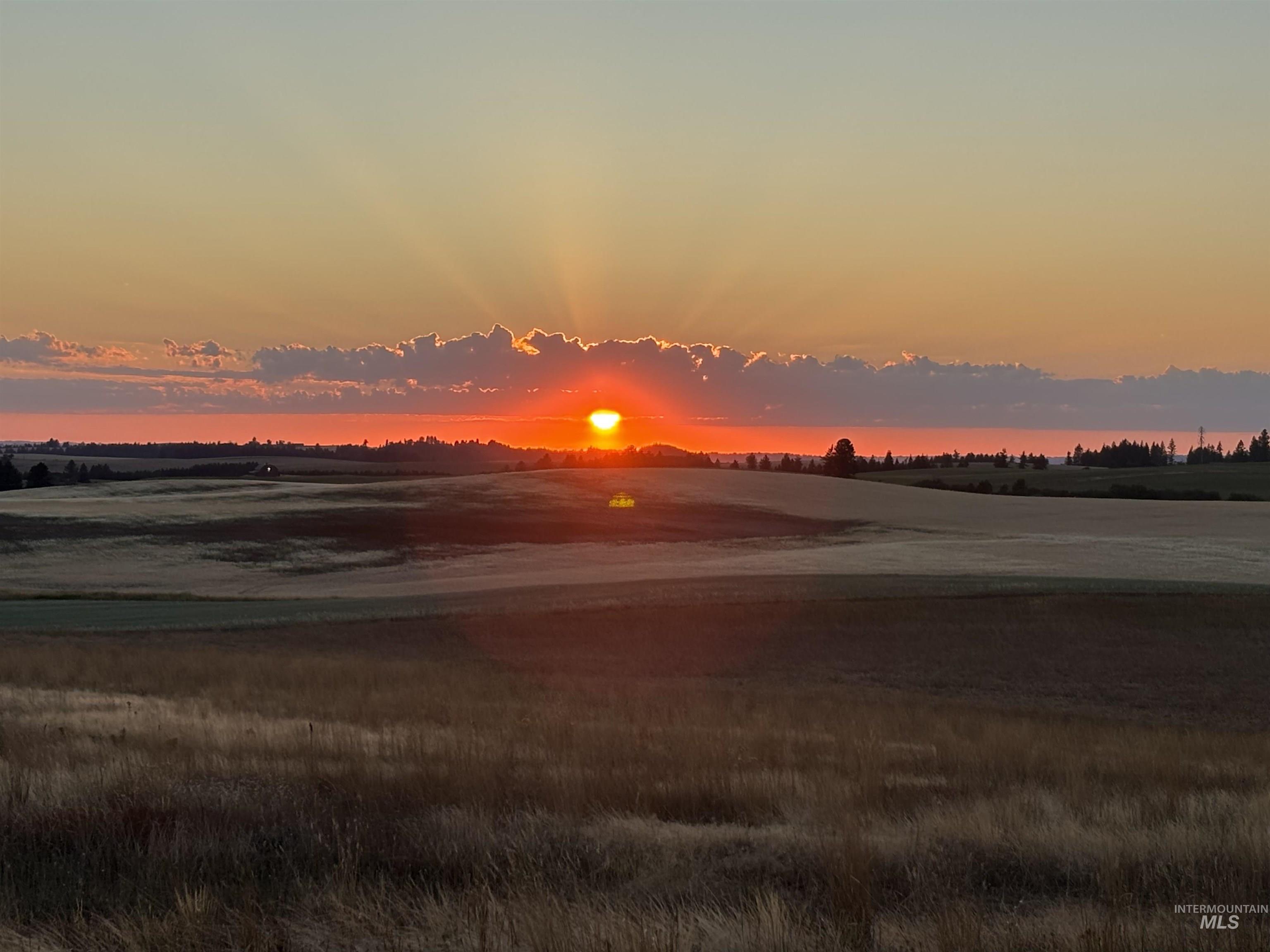 123 Glory Ln, Orofino, Idaho 83544, 3 Bedrooms, 3 Bathrooms, Residential For Sale, Price $549,000,MLS 98974398