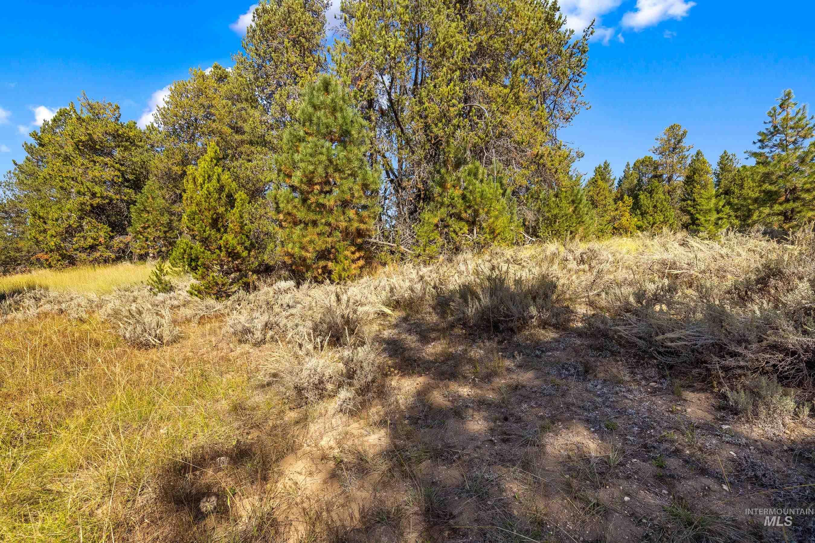 433 Wilhelm Creek Court, McCall, Idaho 83638, Land For Sale, Price $249,000,MLS 98974427