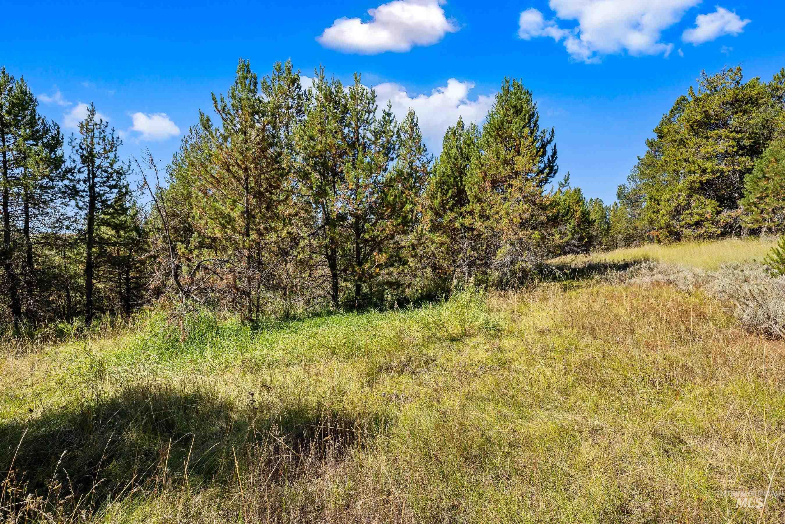 433 Wilhelm Creek Court, McCall, Idaho 83638, Land For Sale, Price $249,000,MLS 98974427