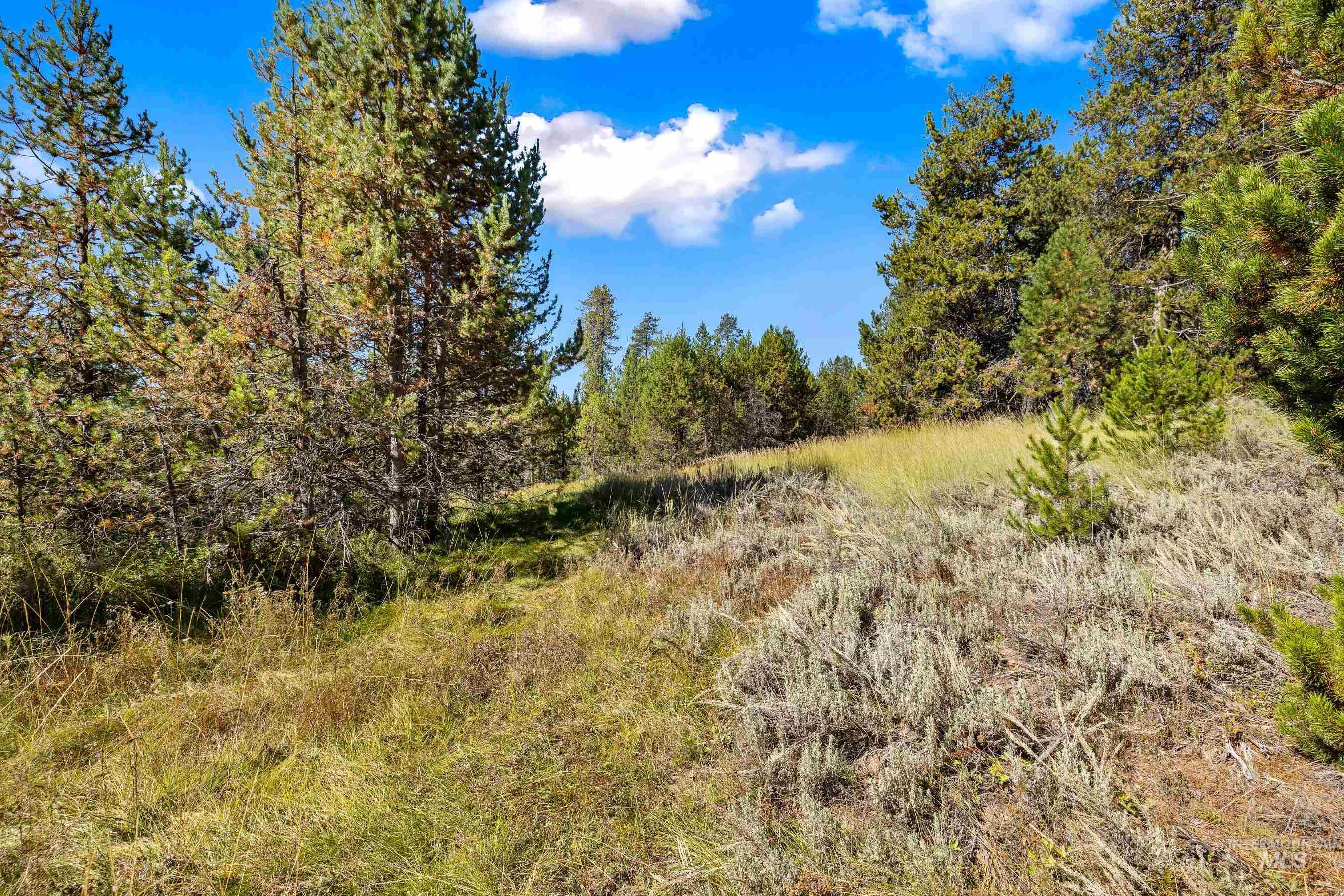 433 Wilhelm Creek Court, McCall, Idaho 83638, Land For Sale, Price $249,000,MLS 98974427