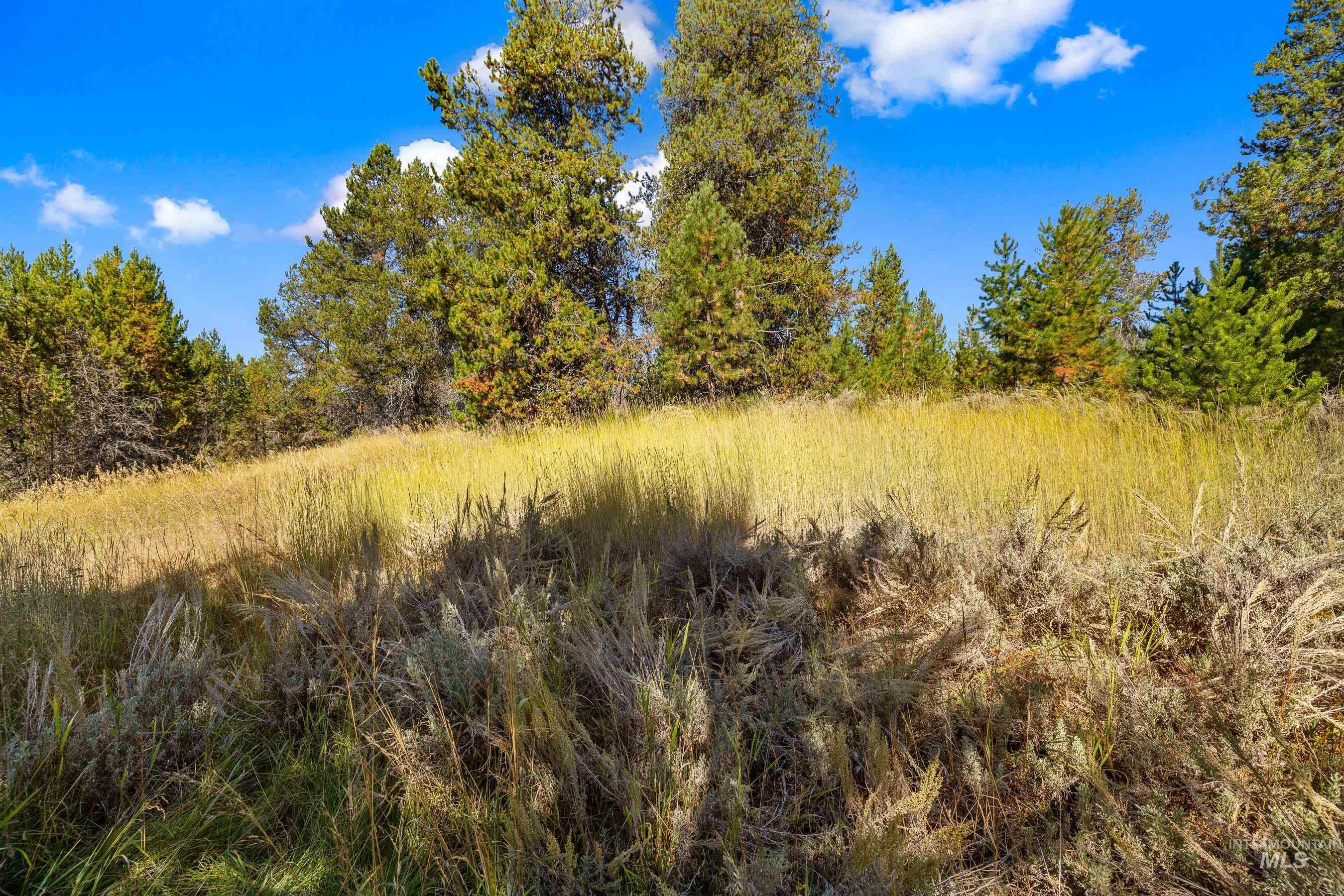 433 Wilhelm Creek Court, McCall, Idaho 83638, Land For Sale, Price $249,000,MLS 98974427