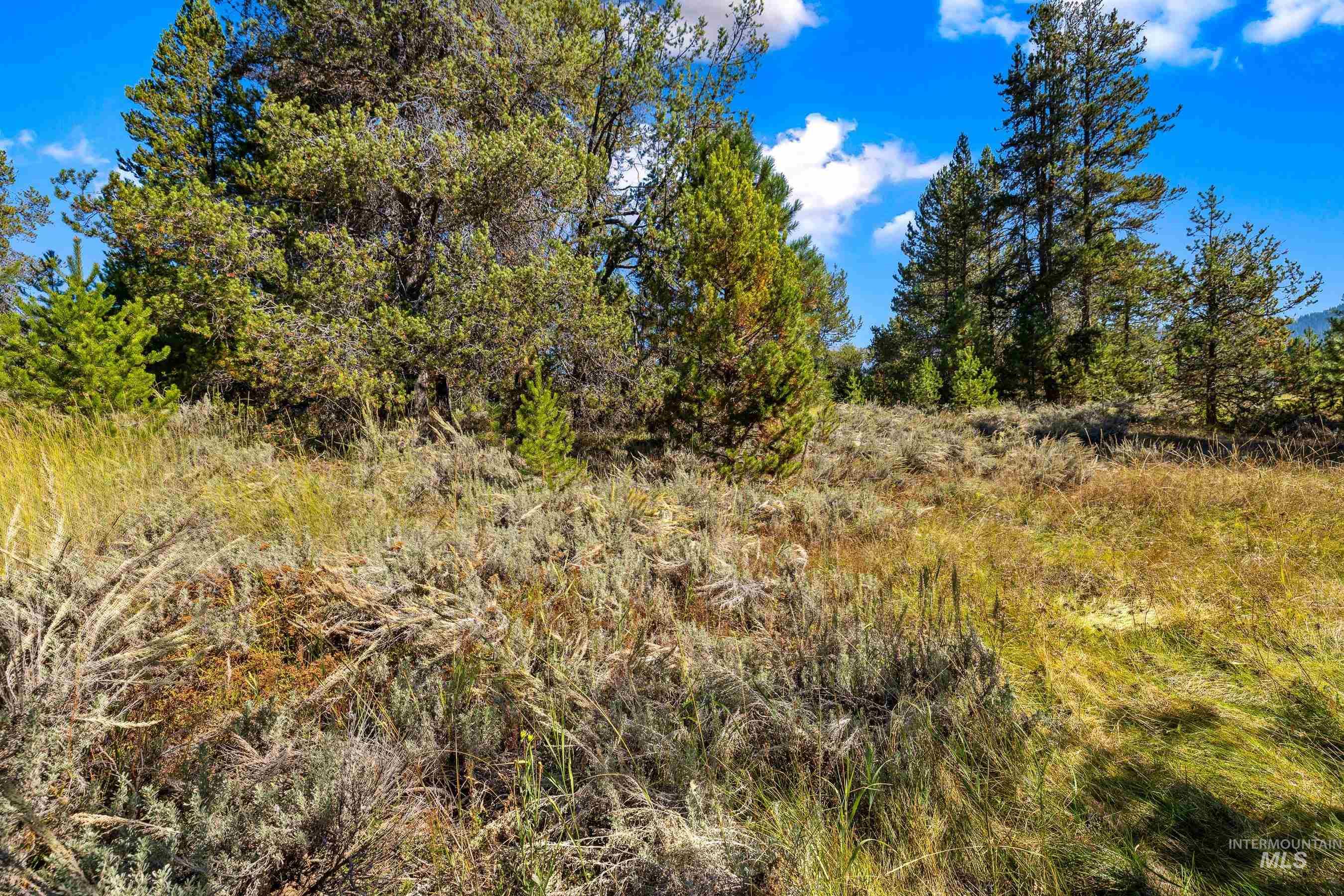 433 Wilhelm Creek Court, McCall, Idaho 83638, Land For Sale, Price $249,000,MLS 98974427