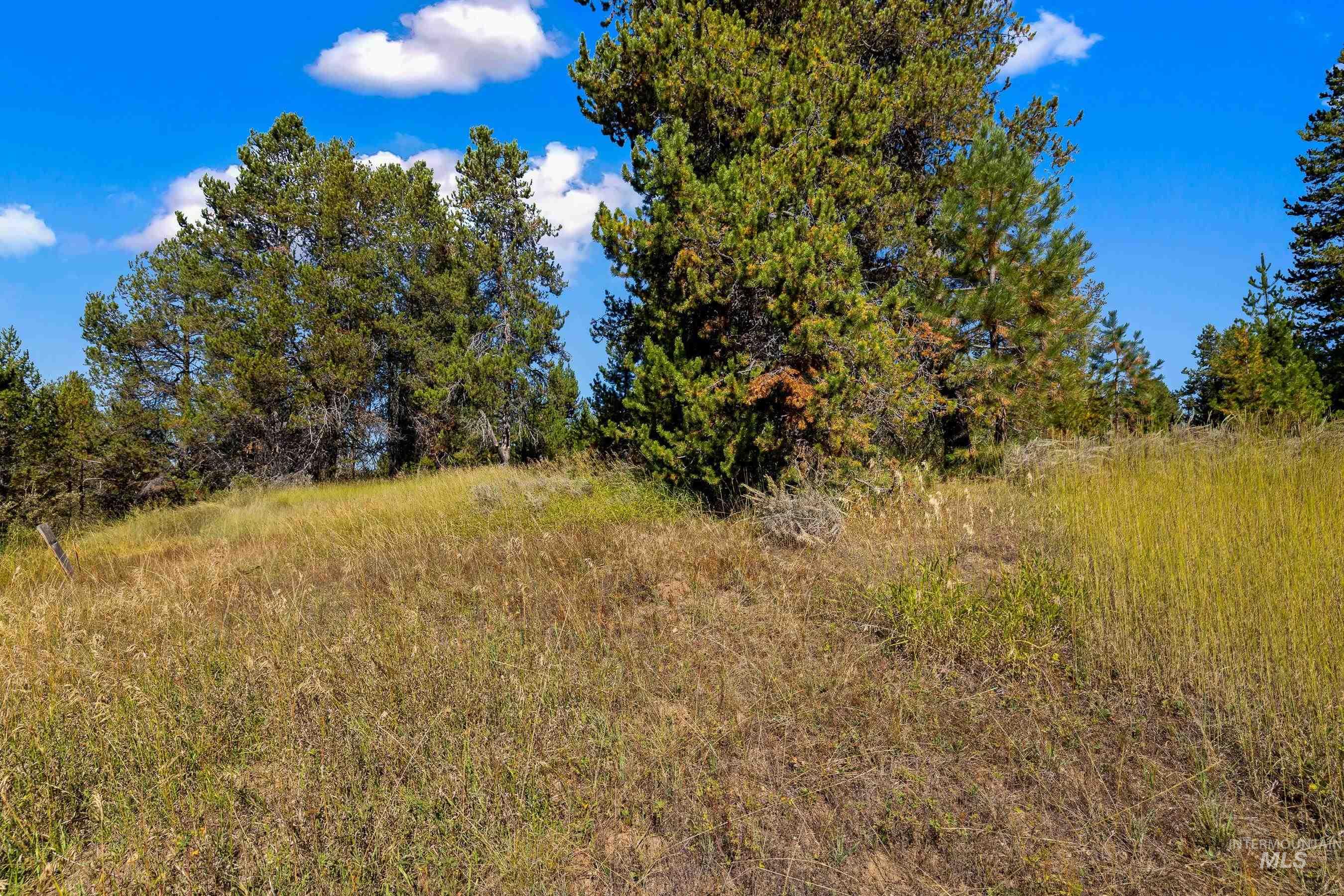 433 Wilhelm Creek Court, McCall, Idaho 83638, Land For Sale, Price $249,000,MLS 98974427