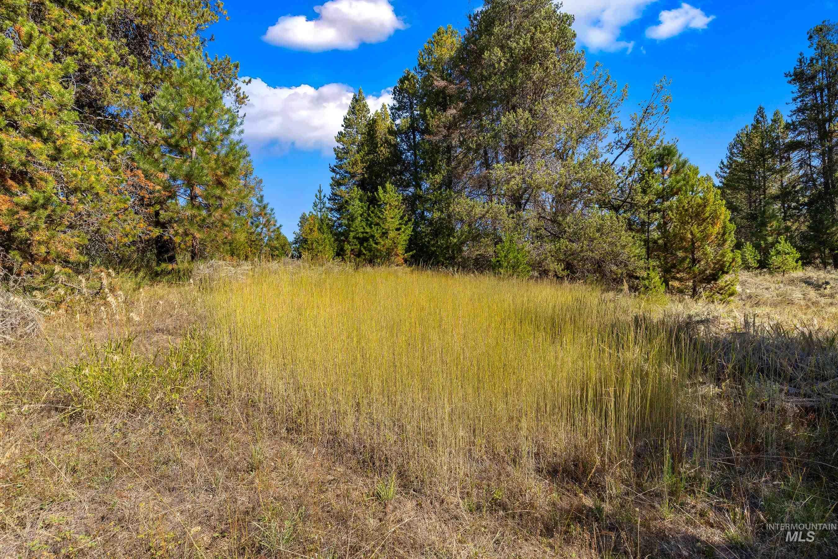 433 Wilhelm Creek Court, McCall, Idaho 83638, Land For Sale, Price $249,000,MLS 98974427