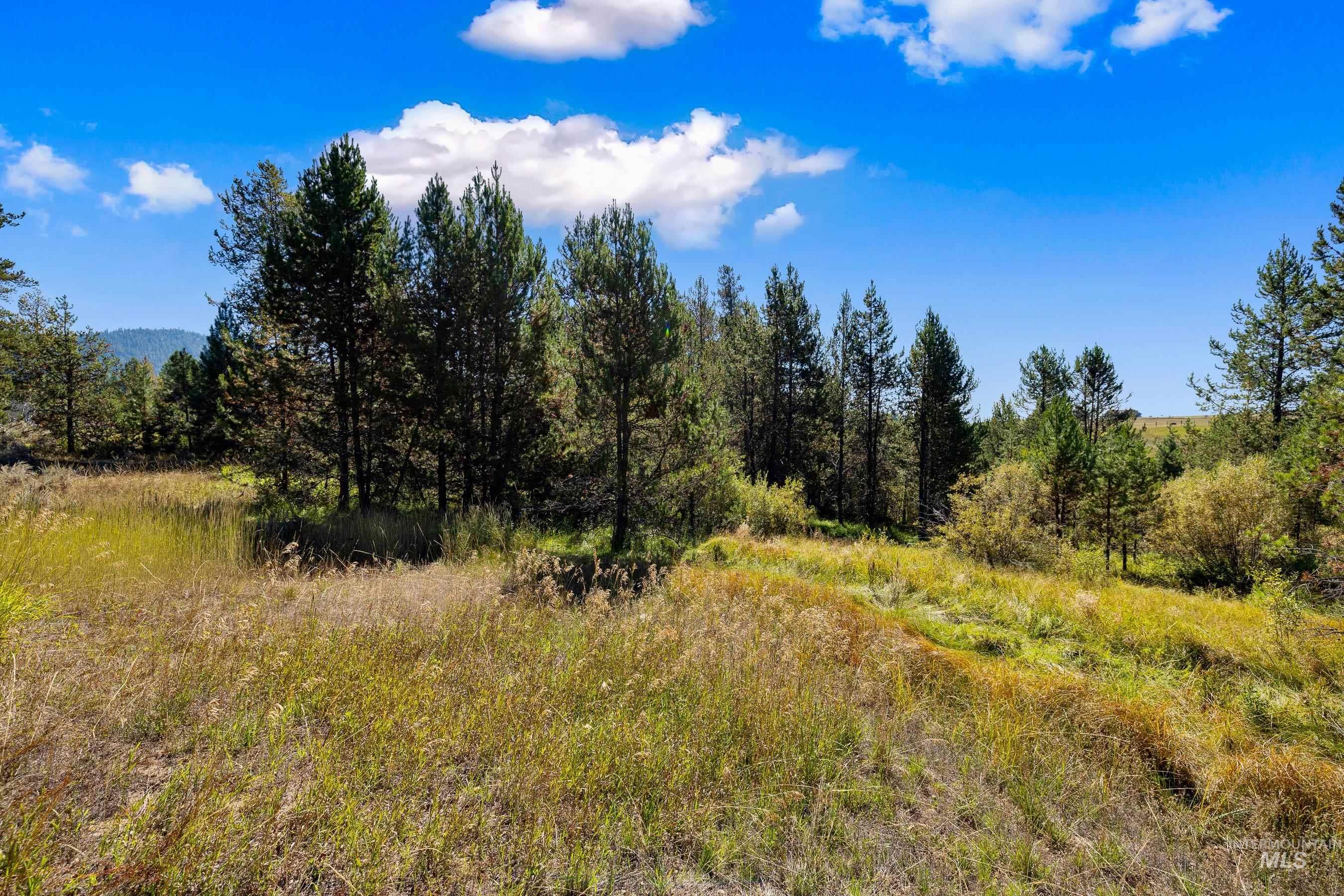 433 Wilhelm Creek Court, McCall, Idaho 83638, Land For Sale, Price $249,000,MLS 98974427