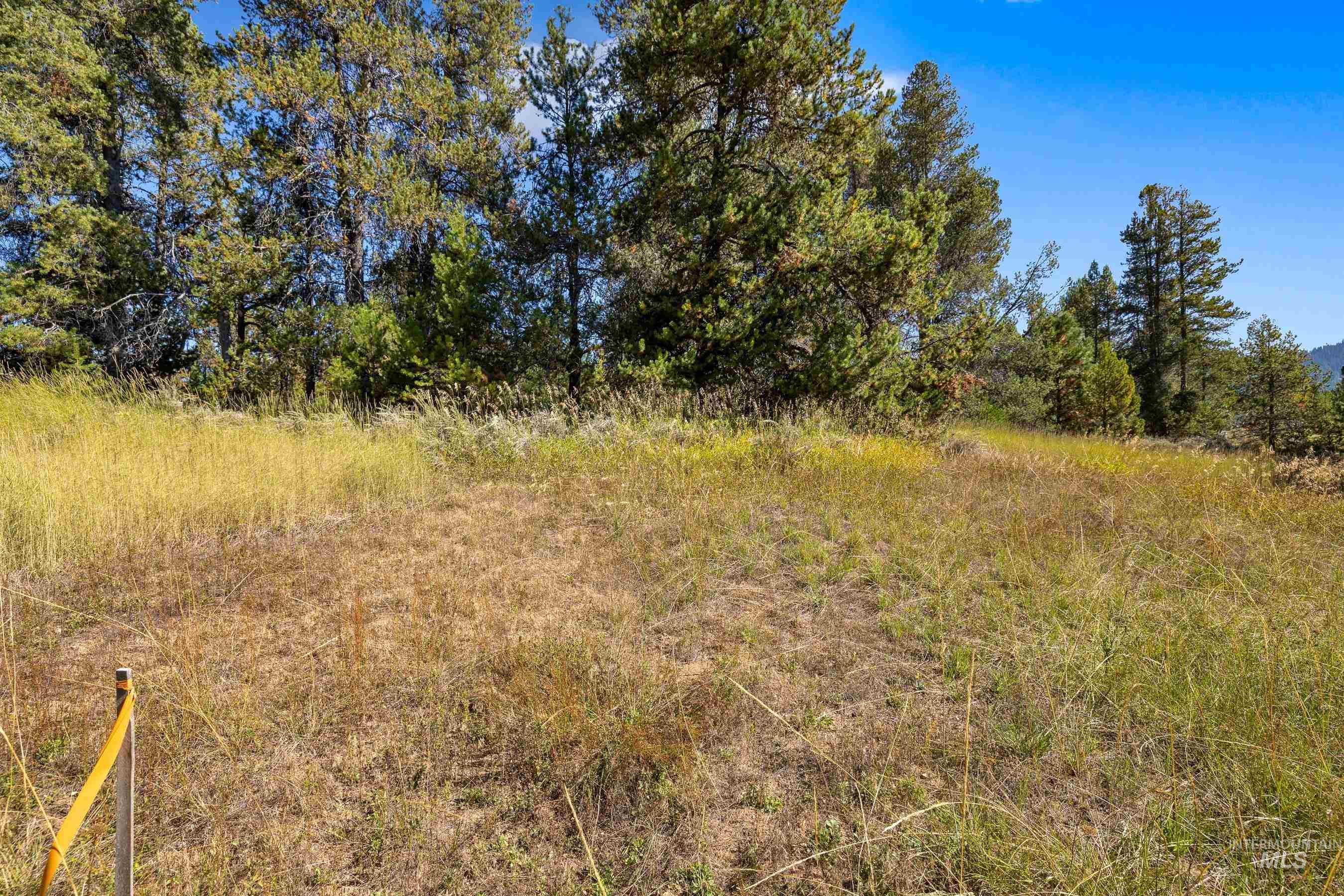 433 Wilhelm Creek Court, McCall, Idaho 83638, Land For Sale, Price $249,000,MLS 98974427