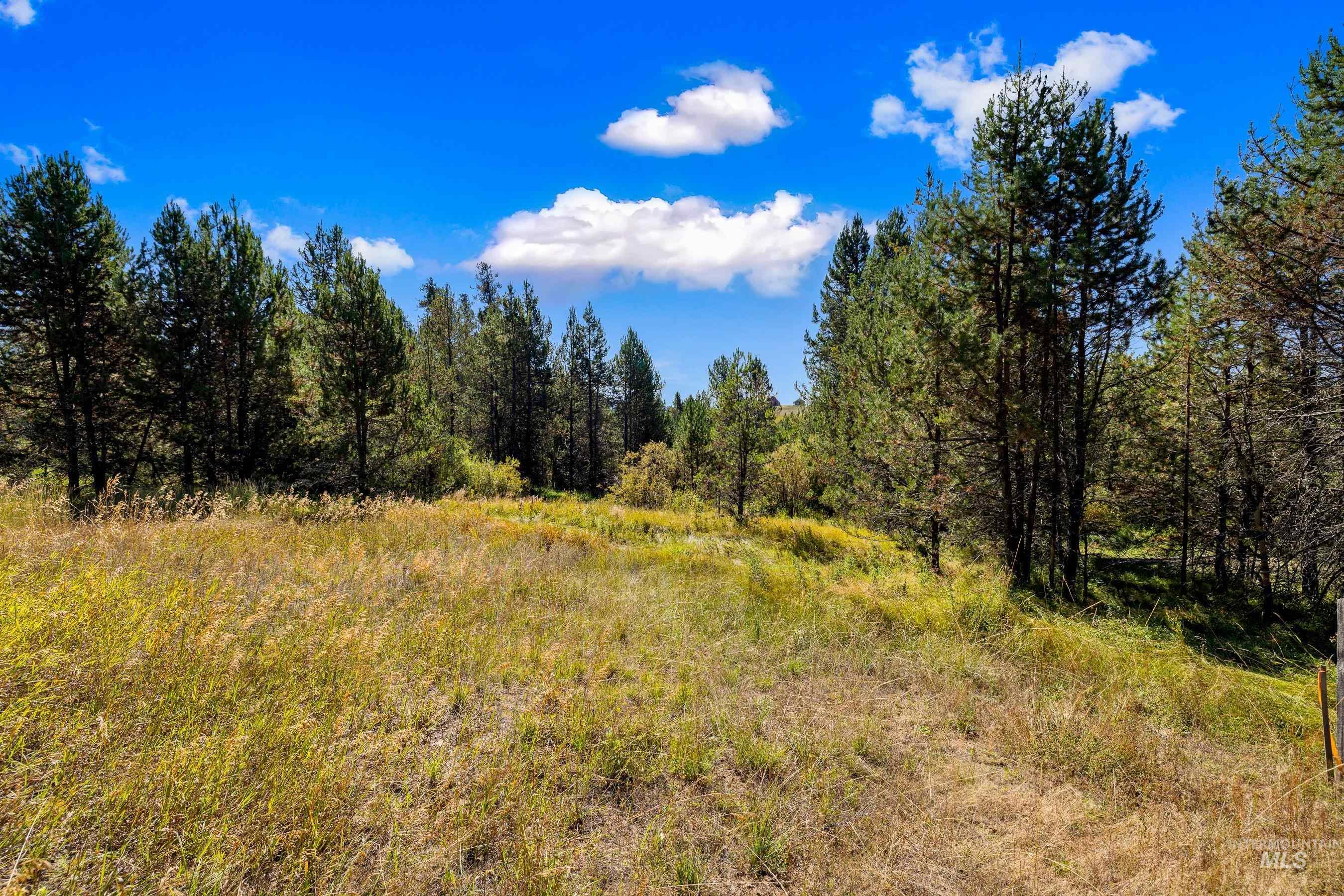 433 Wilhelm Creek Court, McCall, Idaho 83638, Land For Sale, Price $249,000,MLS 98974427