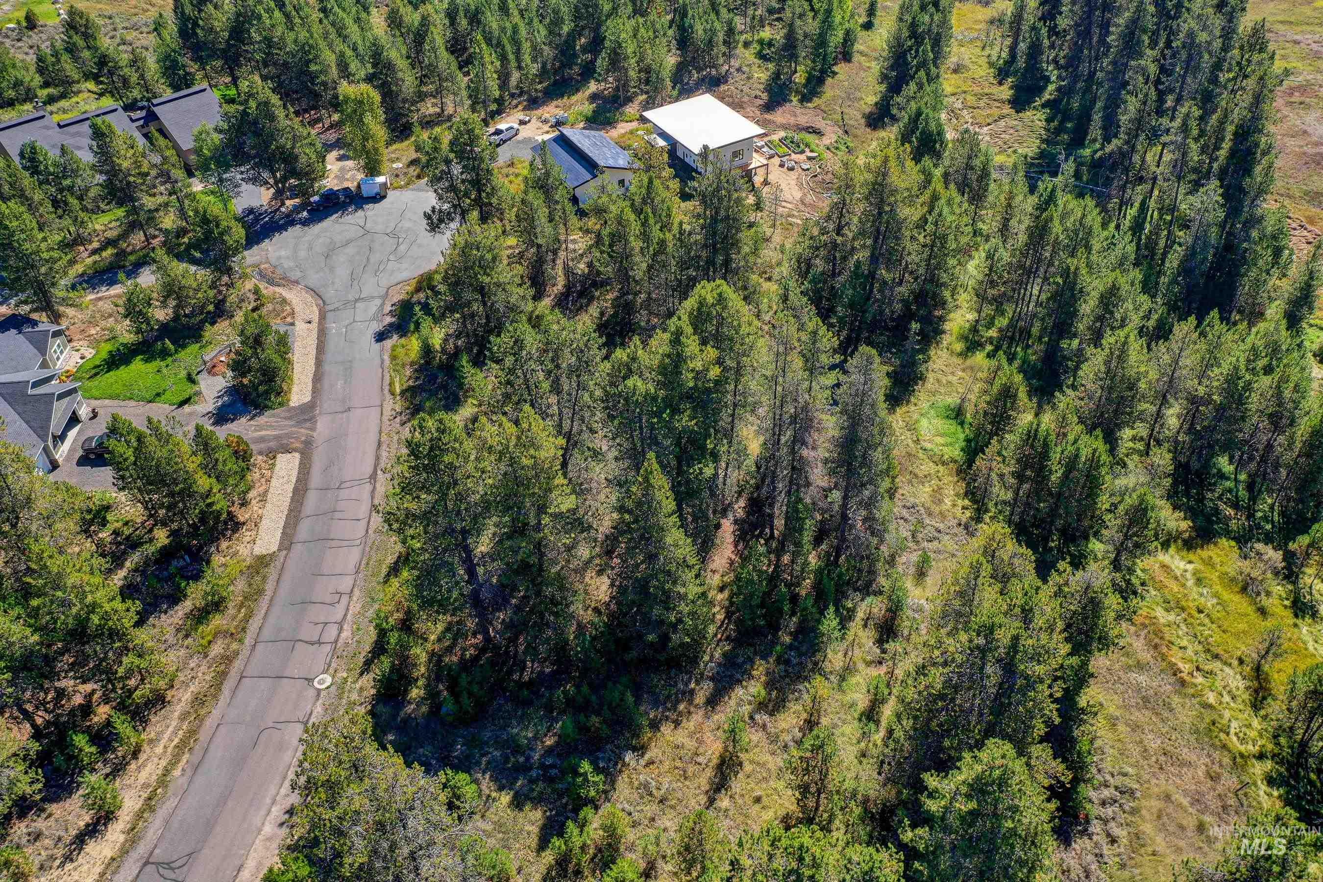 433 Wilhelm Creek Court, McCall, Idaho 83638, Land For Sale, Price $249,000,MLS 98974427