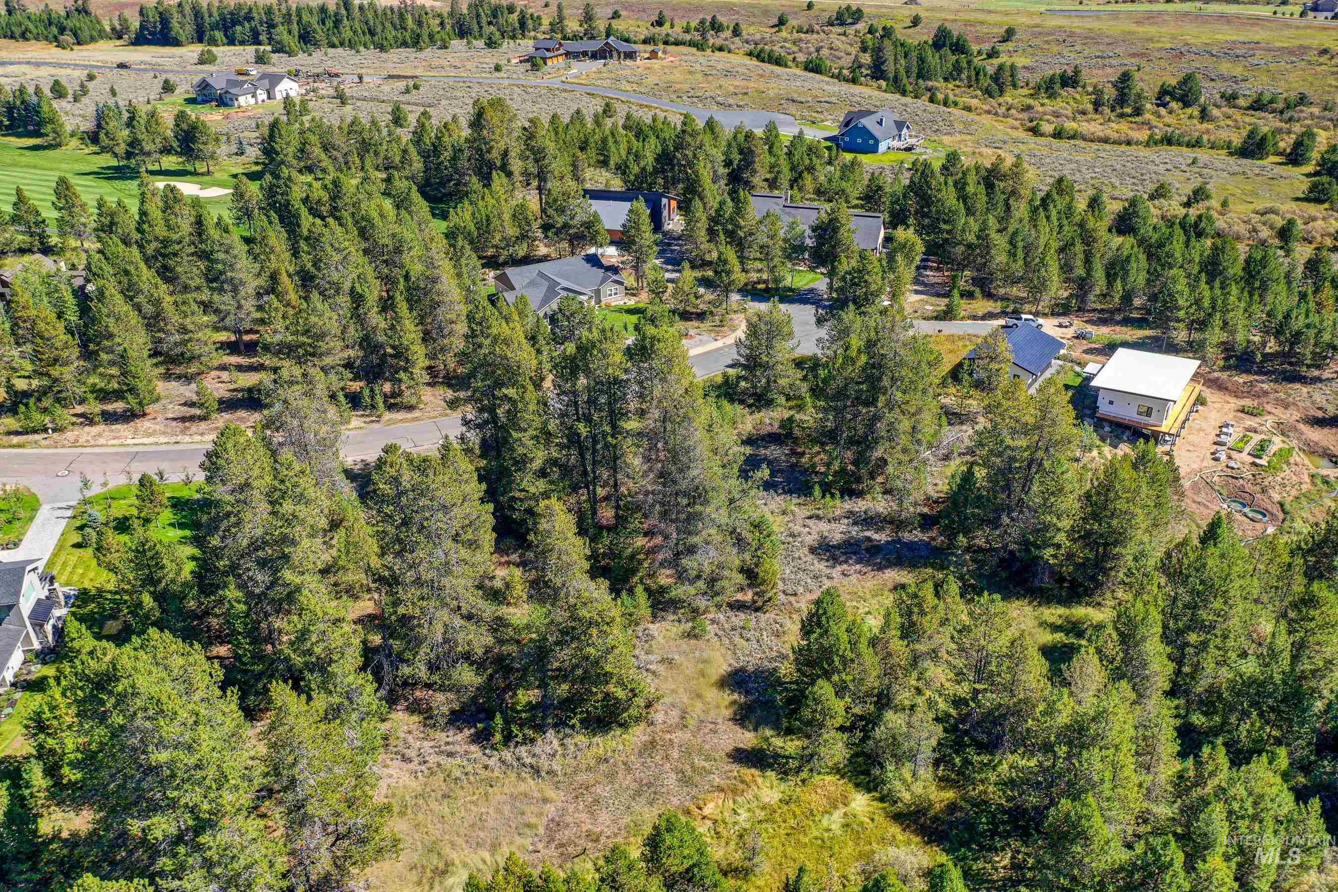433 Wilhelm Creek Court, McCall, Idaho 83638, Land For Sale, Price $249,000,MLS 98974427