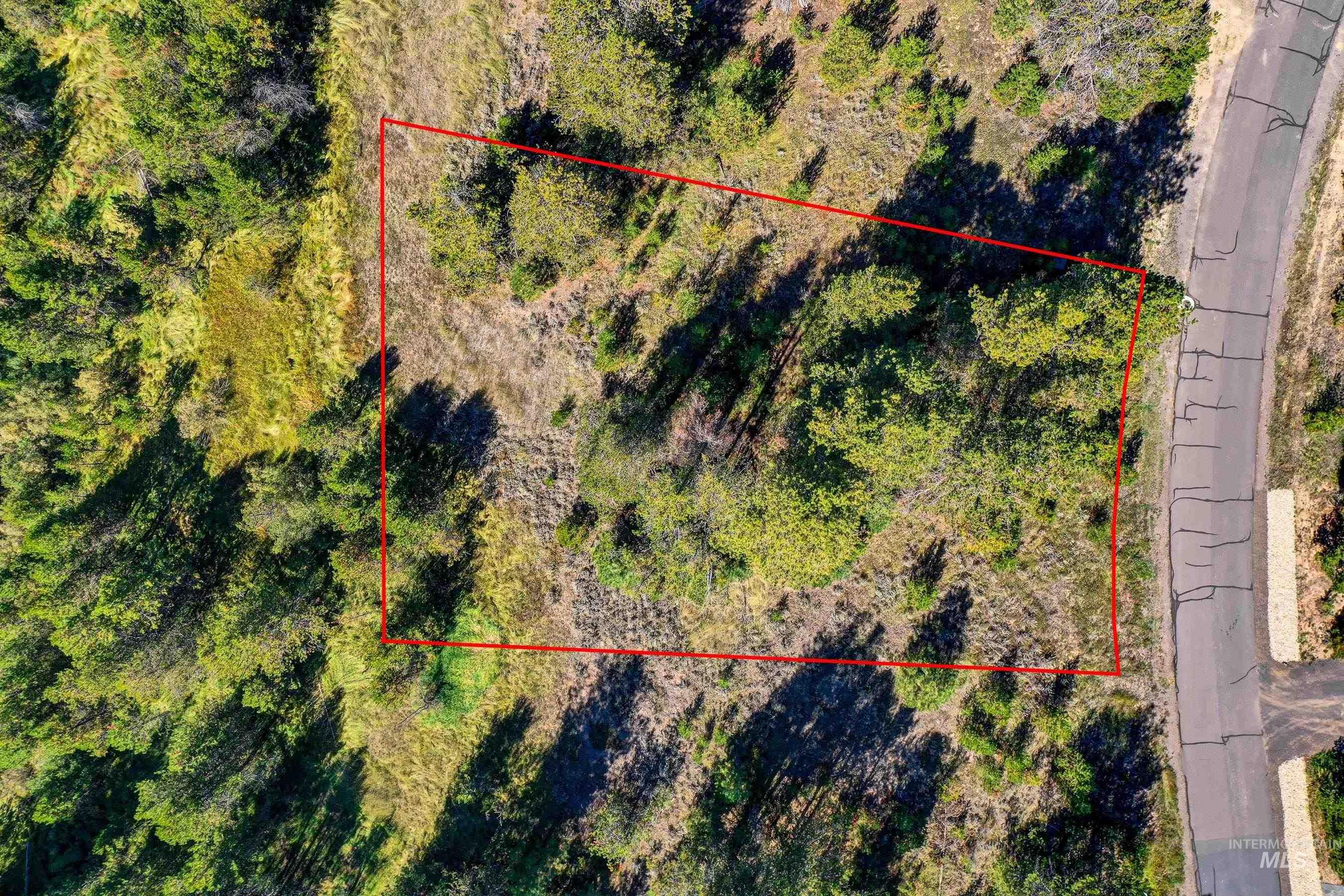 433 Wilhelm Creek Court, McCall, Idaho 83638, Land For Sale, Price $249,000,MLS 98974427
