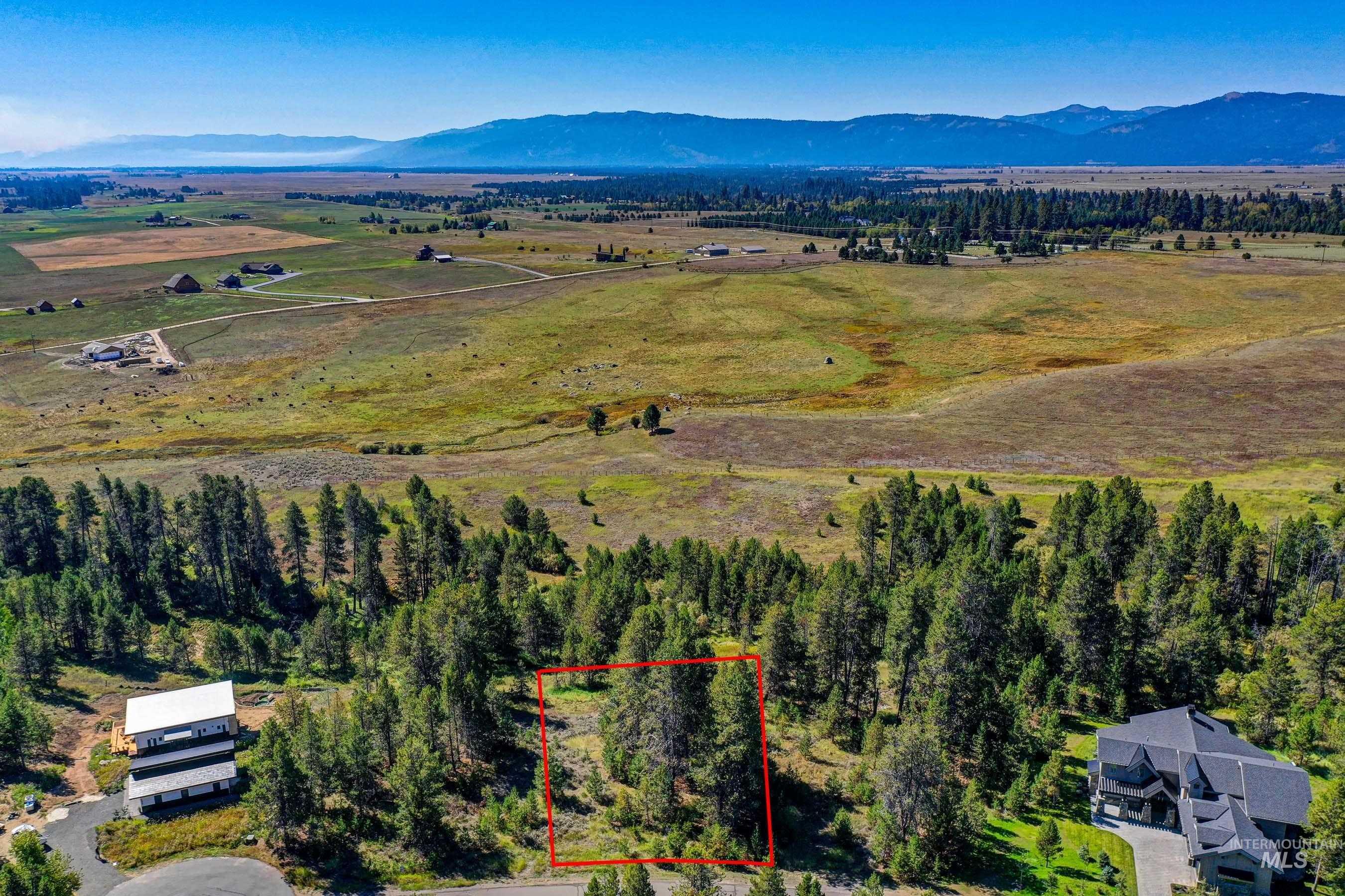 433 Wilhelm Creek Court, McCall, Idaho 83638, Land For Sale, Price $249,000,MLS 98974427