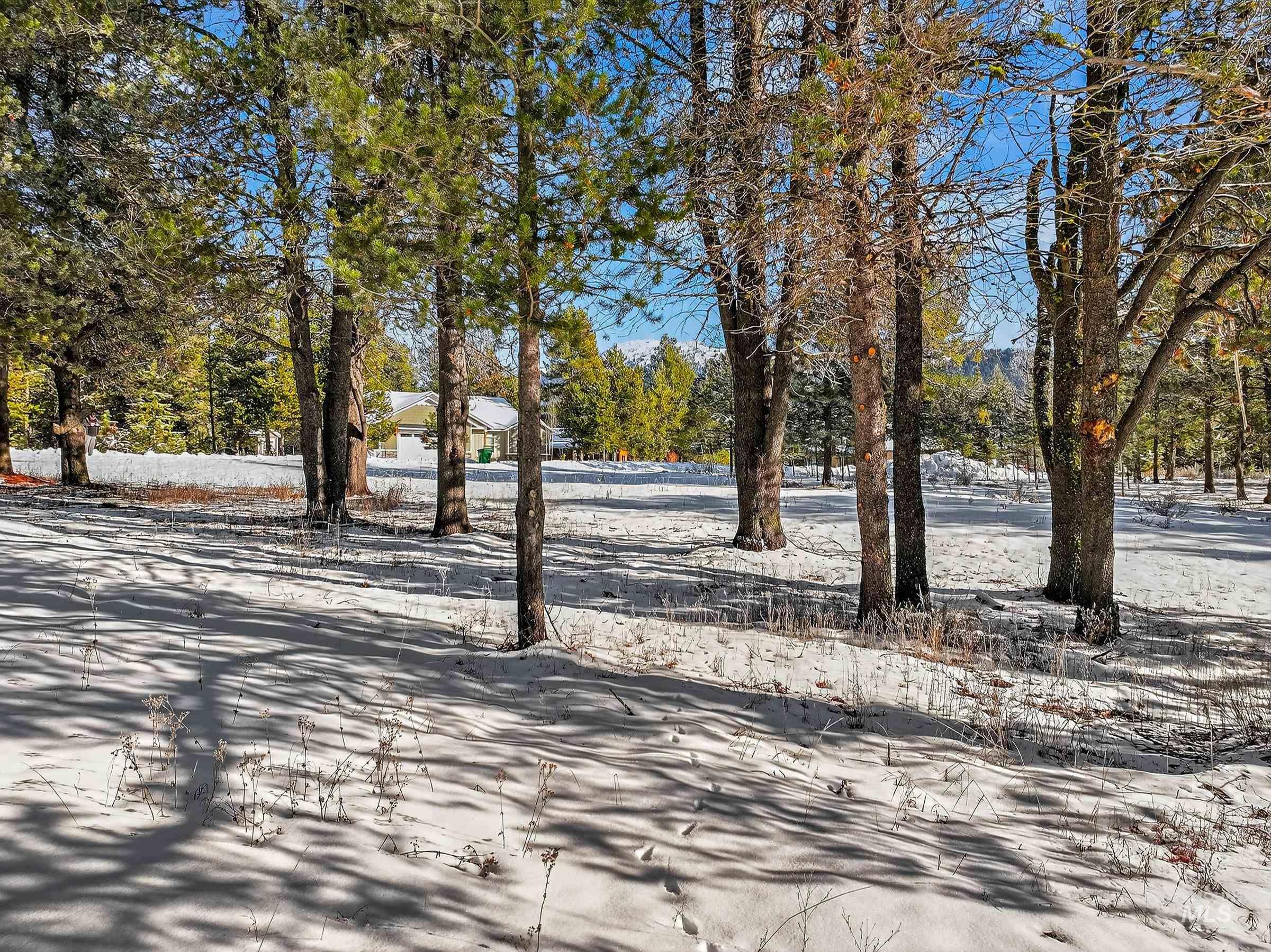 433 Wilhelm Creek Court, McCall, Idaho 83638, Land For Sale, Price $249,000,MLS 98974427