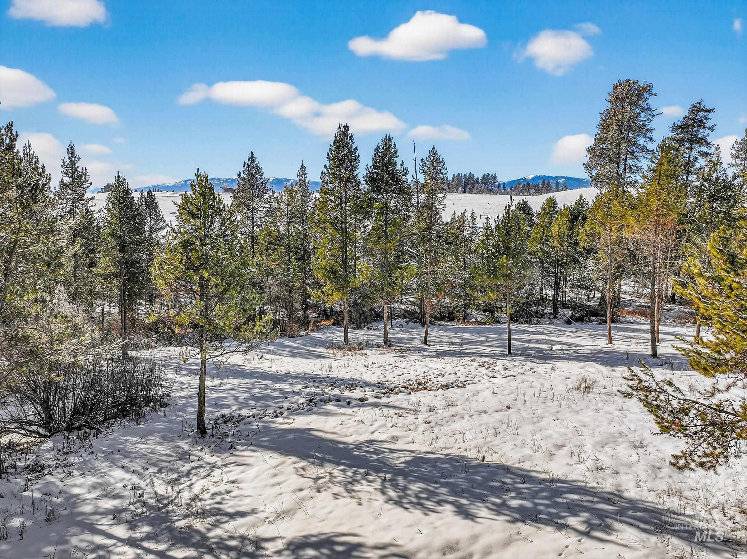 433 Wilhelm Creek Court, McCall, Idaho 83638, Land For Sale, Price $249,000,MLS 98974427