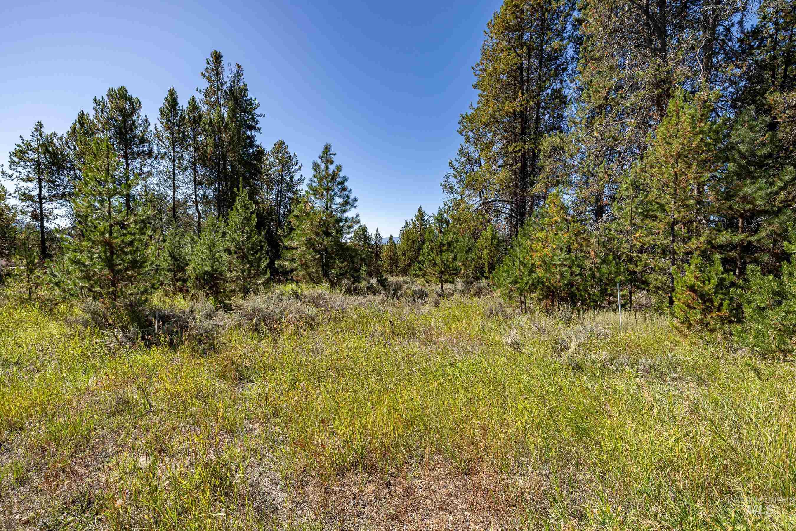 433 Wilhelm Creek Court, McCall, Idaho 83638, Land For Sale, Price $249,000,MLS 98974427