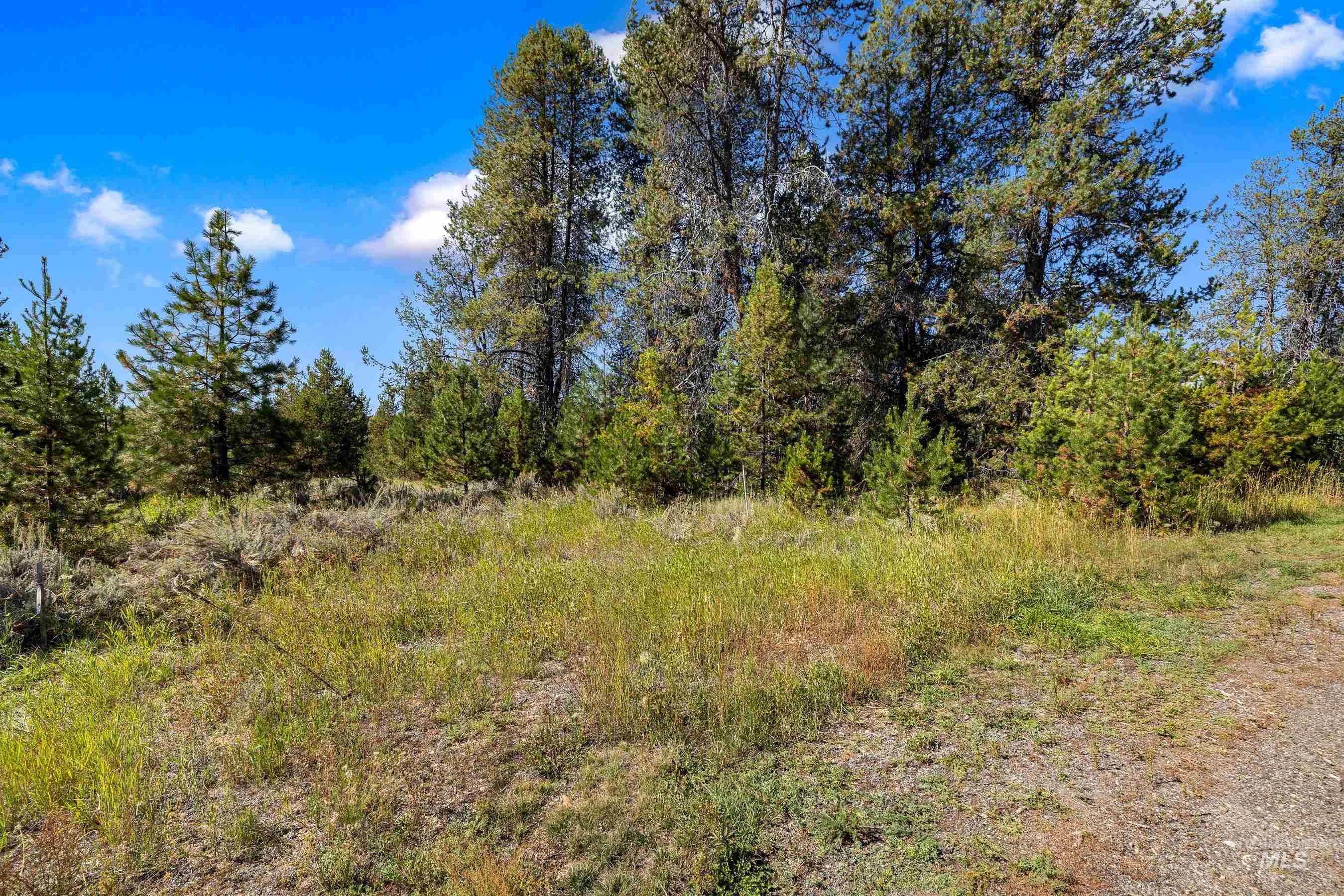 433 Wilhelm Creek Court, McCall, Idaho 83638, Land For Sale, Price $249,000,MLS 98974427