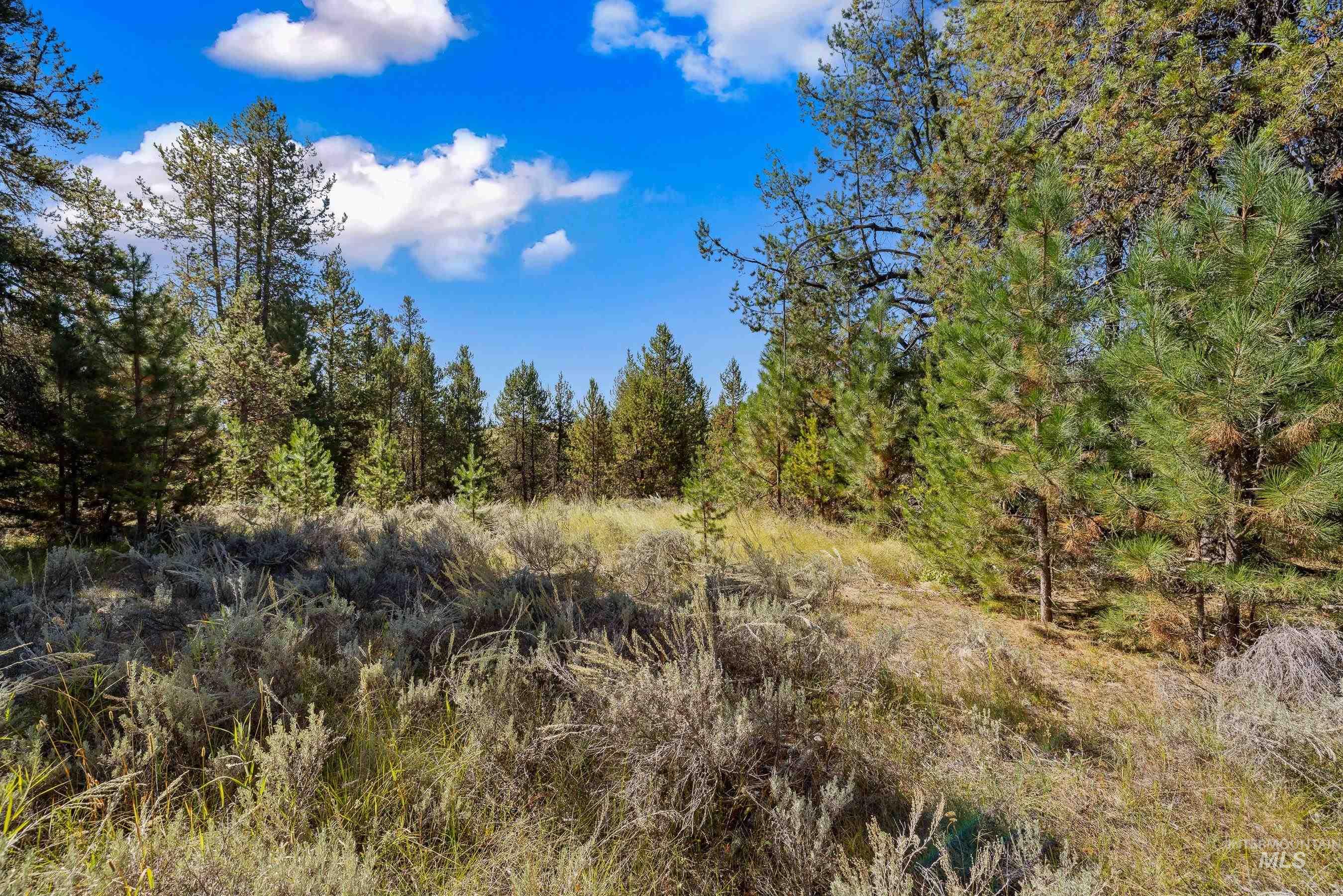 433 Wilhelm Creek Court, McCall, Idaho 83638, Land For Sale, Price $249,000,MLS 98974427