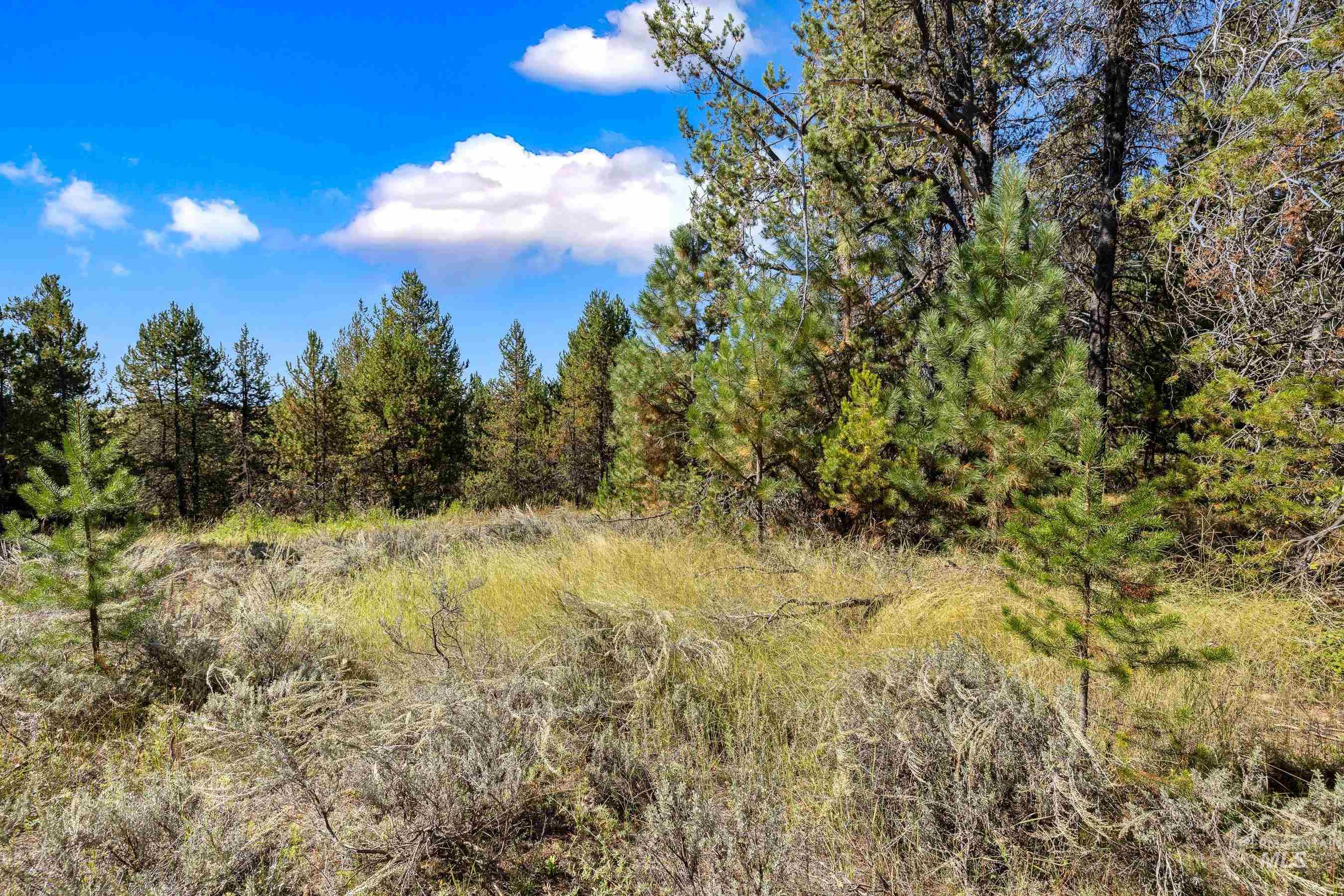 433 Wilhelm Creek Court, McCall, Idaho 83638, Land For Sale, Price $249,000,MLS 98974427