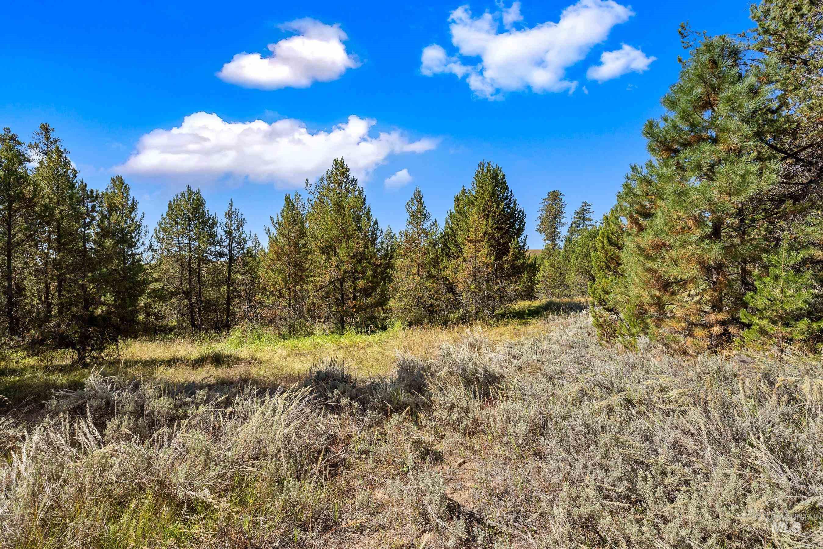 433 Wilhelm Creek Court, McCall, Idaho 83638, Land For Sale, Price $249,000,MLS 98974427