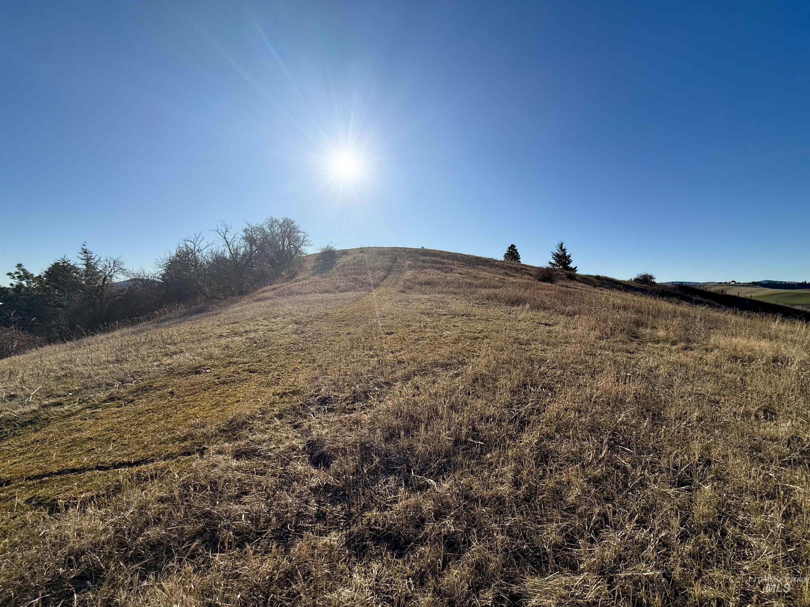 2256 W A Street, Moscow, Idaho 83843, 5 Bedrooms, 3 Bathrooms, Residential For Sale, Price $649,000,MLS 98974455