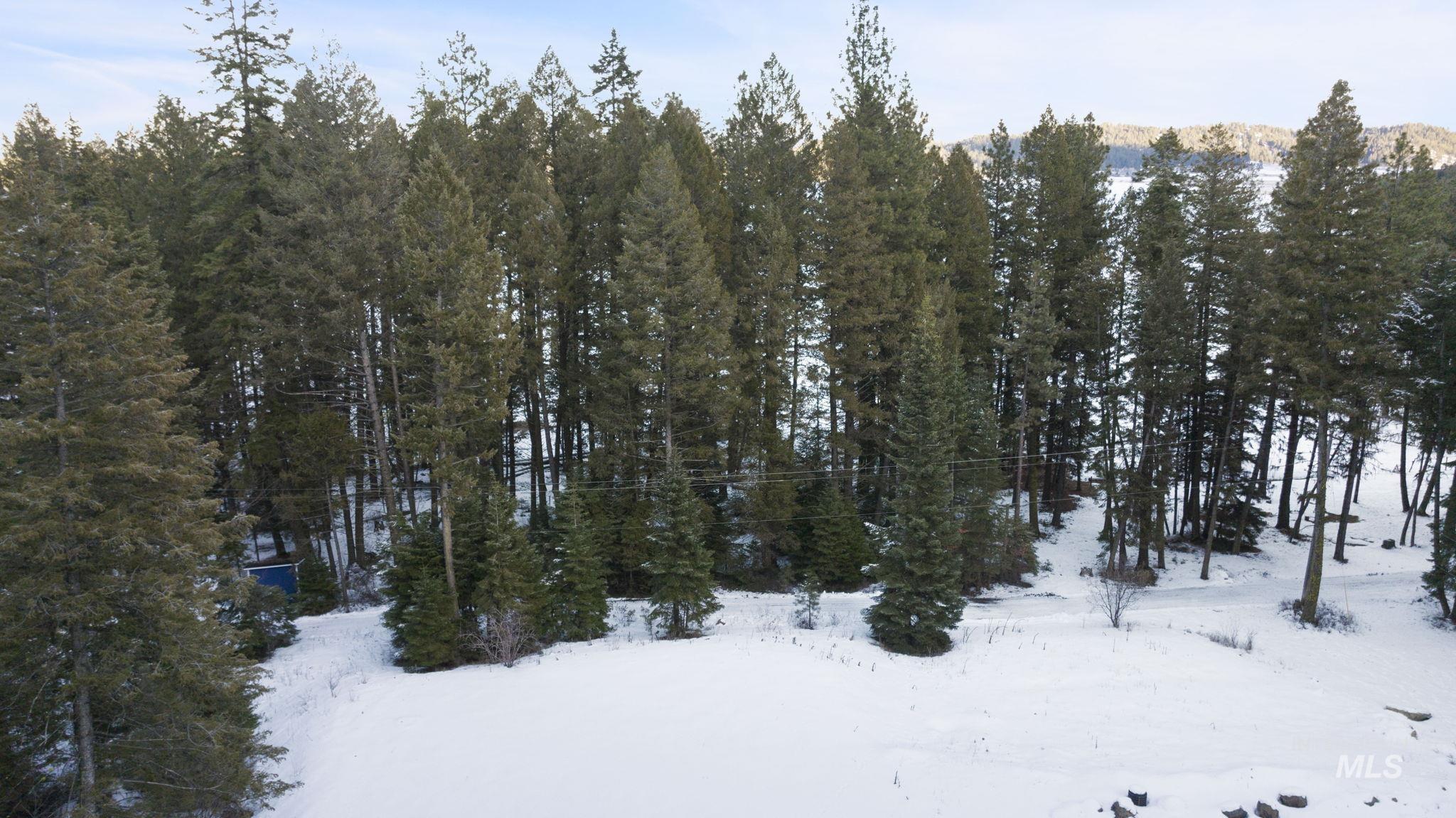 616-618 Teepee Drive, Cascade, Idaho 83611, Land For Sale, Price $299,000,MLS 98974583