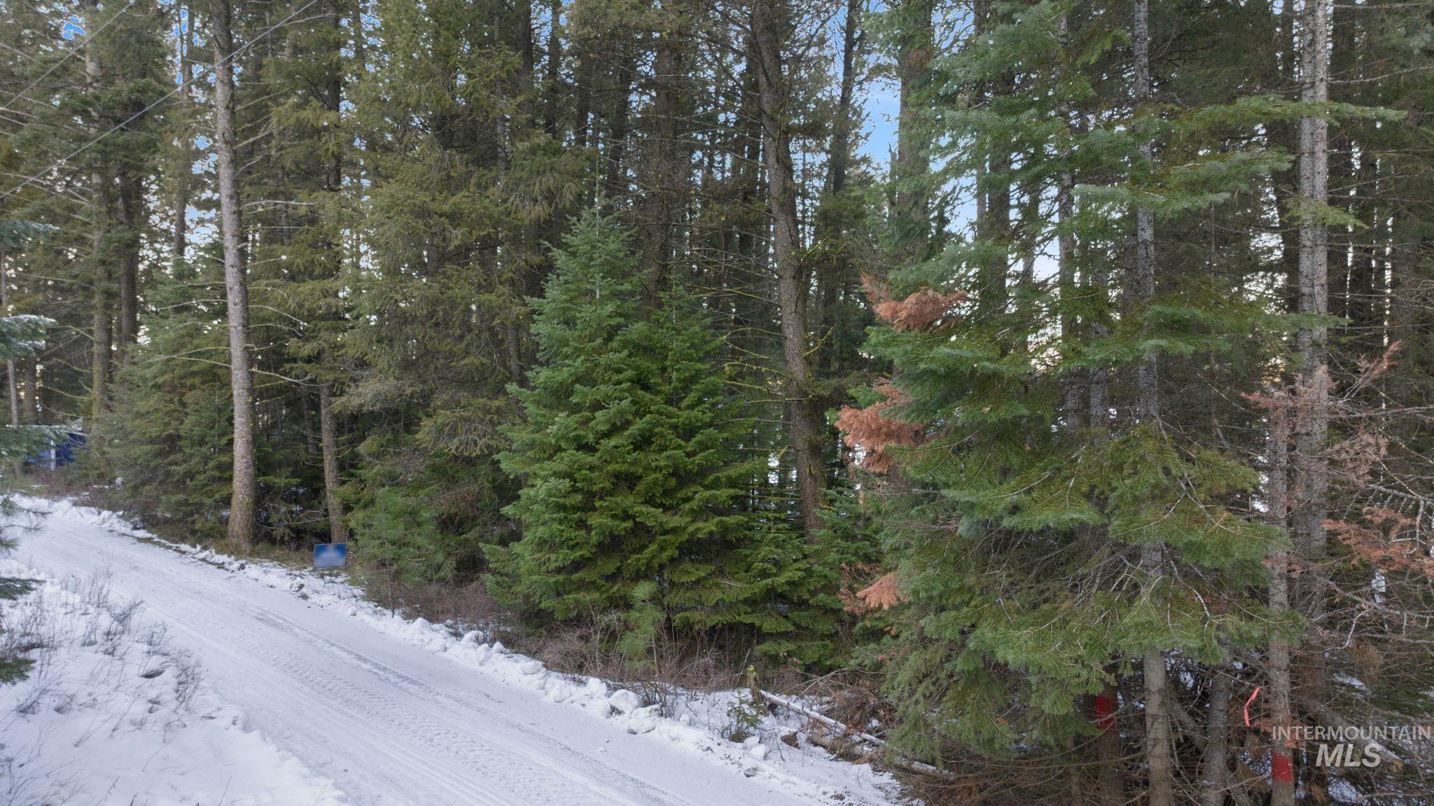 616-618 Teepee Drive, Cascade, Idaho 83611, Land For Sale, Price $299,000,MLS 98974583