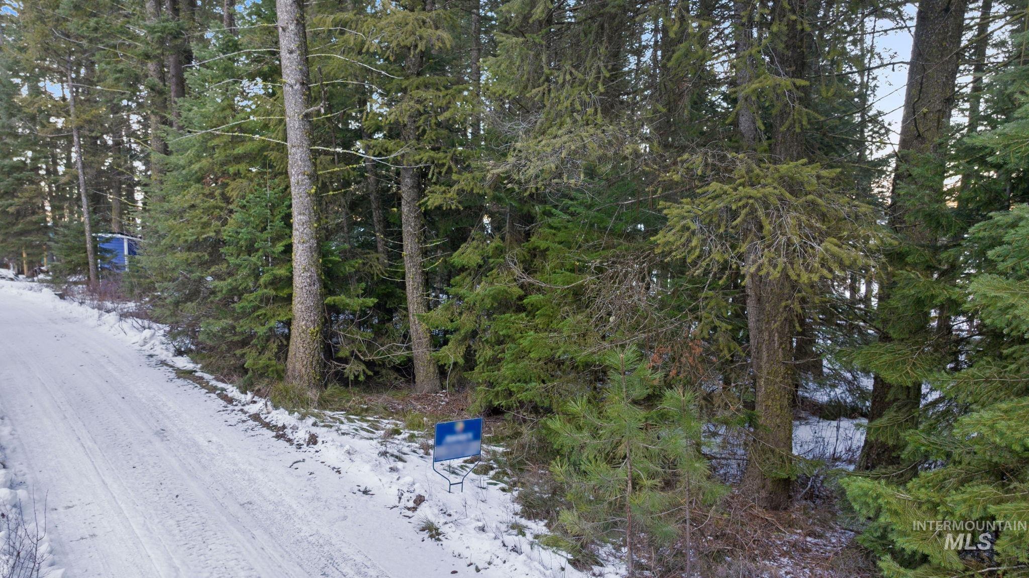 616-618 Teepee Drive, Cascade, Idaho 83611, Land For Sale, Price $299,000,MLS 98974583