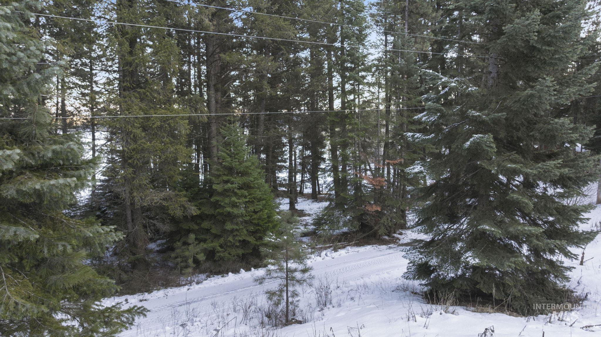 616-618 Teepee Drive, Cascade, Idaho 83611, Land For Sale, Price $299,000,MLS 98974583