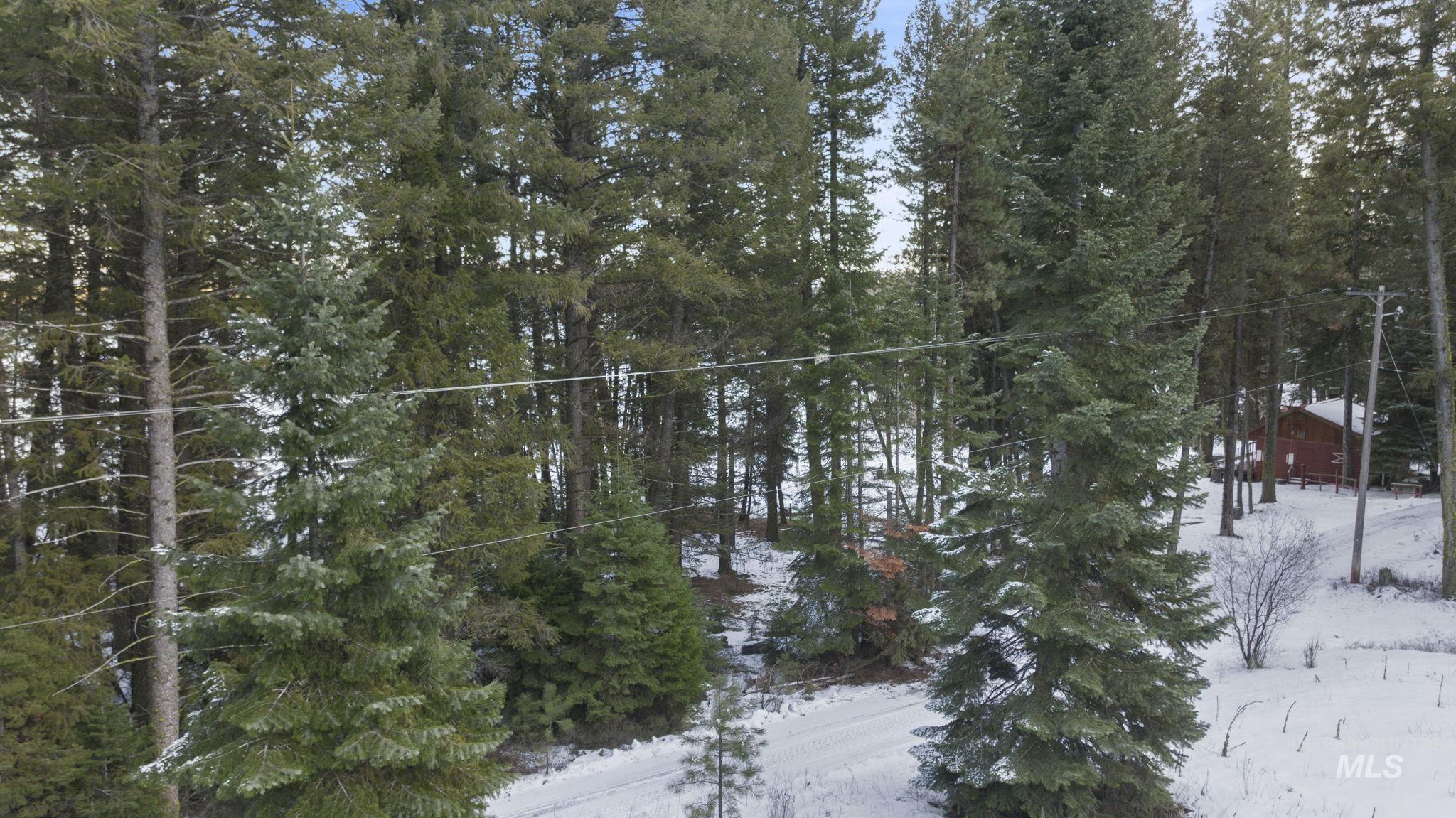 616-618 Teepee Drive, Cascade, Idaho 83611, Land For Sale, Price $299,000,MLS 98974583