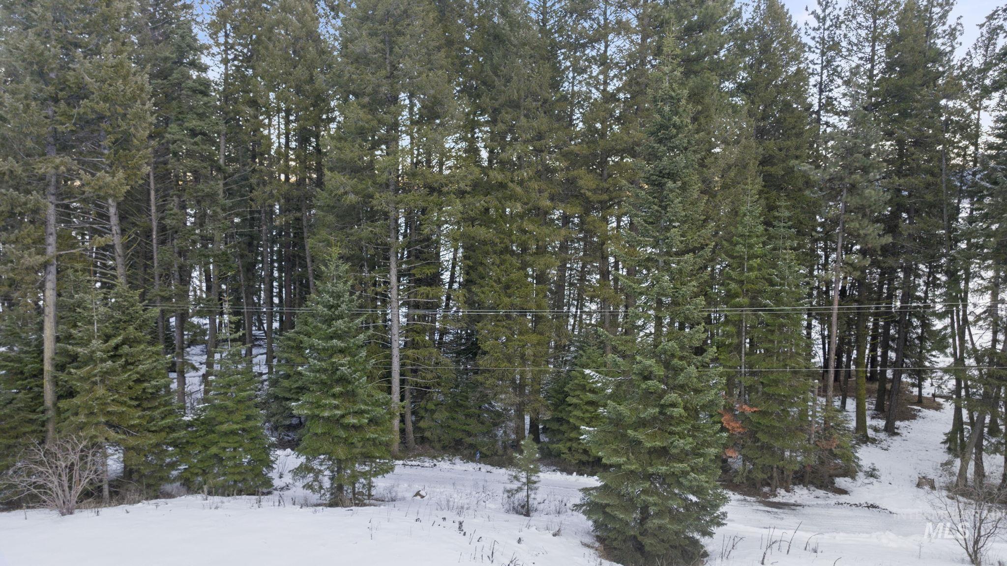 616-618 Teepee Drive, Cascade, Idaho 83611, Land For Sale, Price $299,000,MLS 98974583