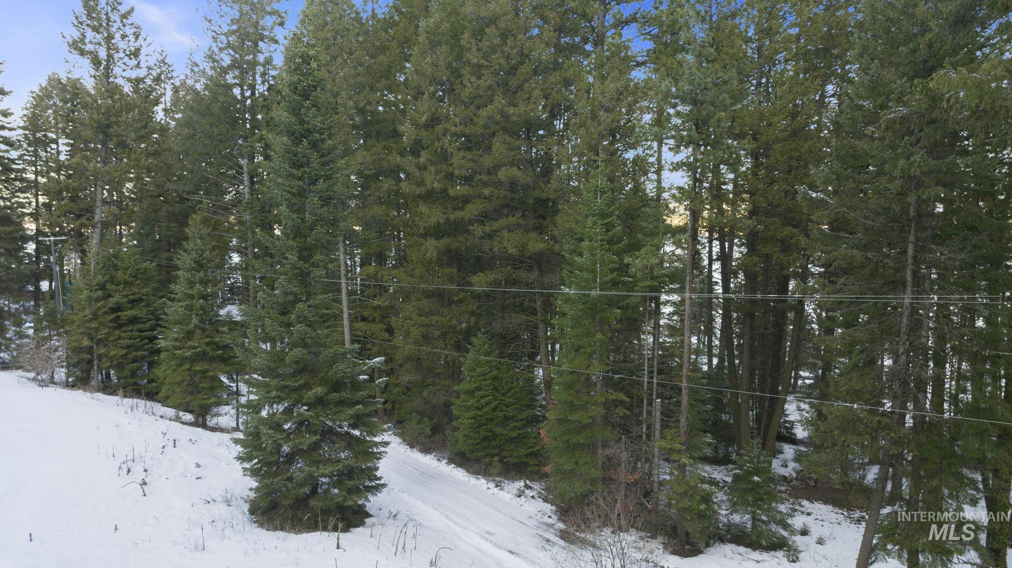 616-618 Teepee Drive, Cascade, Idaho 83611, Land For Sale, Price $299,000,MLS 98974583