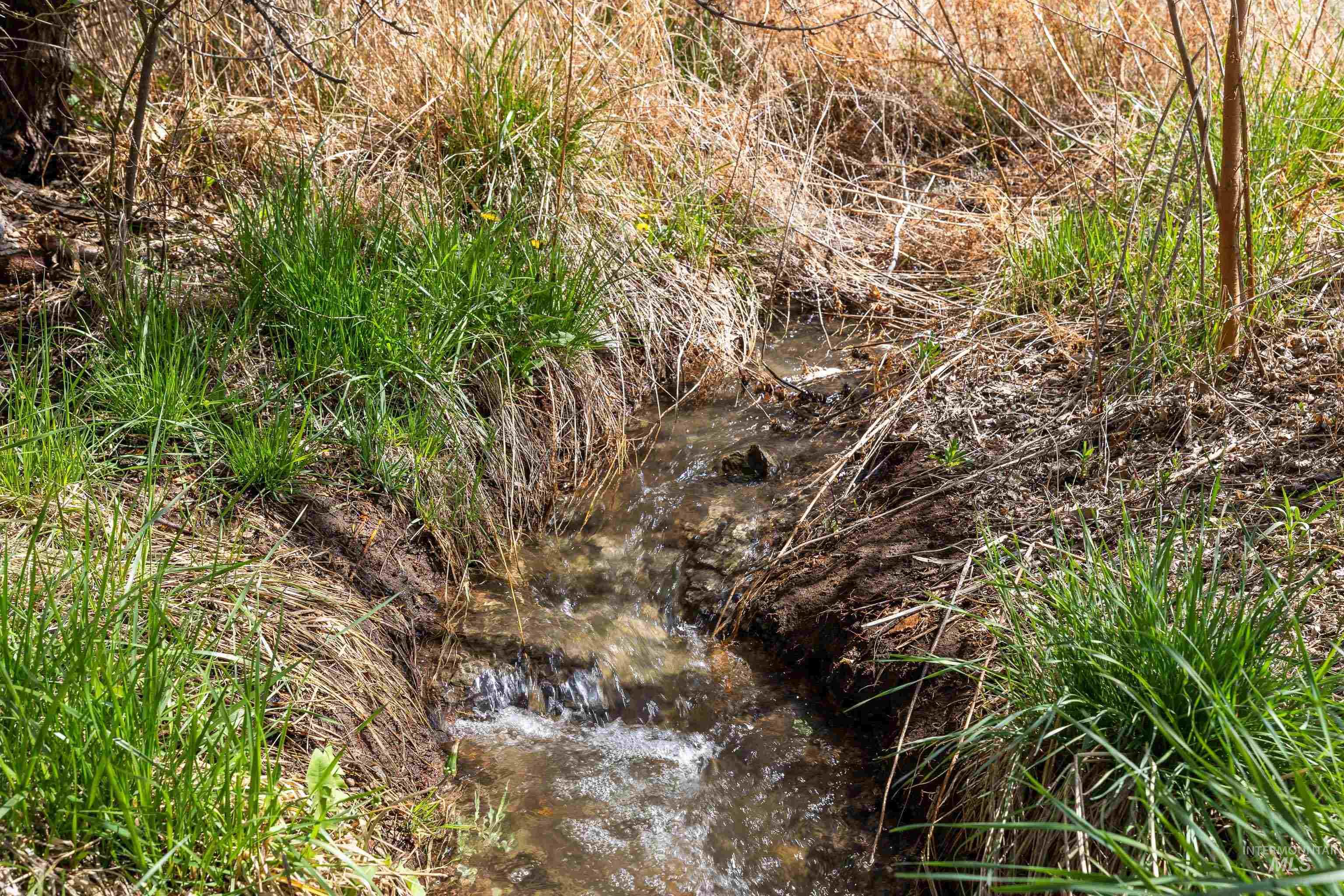 4371 N 1200 E, Buhl, Idaho 83316, Land For Sale, Price $425,000,MLS 98974609