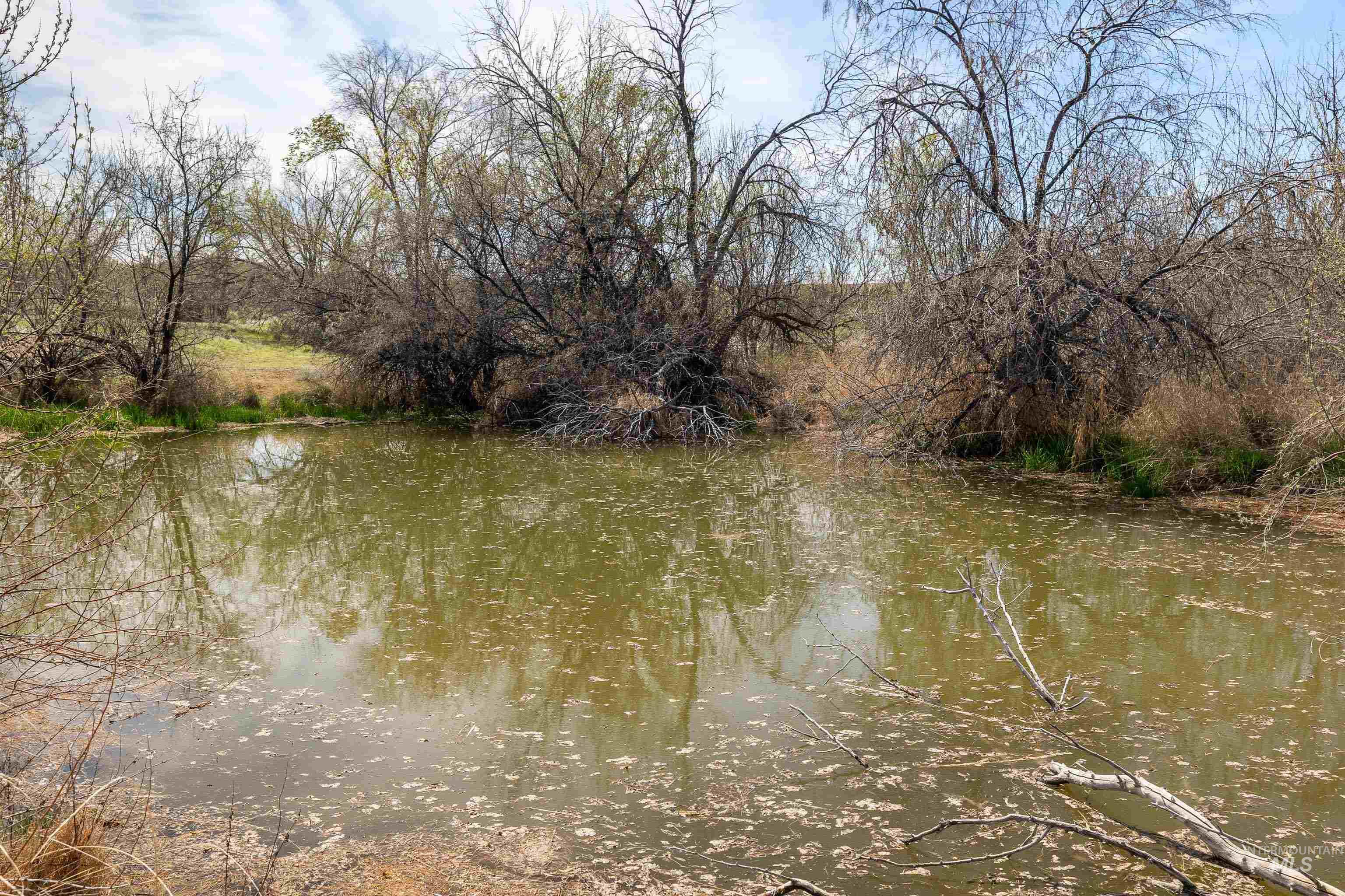 4371 N 1200 E, Buhl, Idaho 83316, Land For Sale, Price $425,000,MLS 98974609